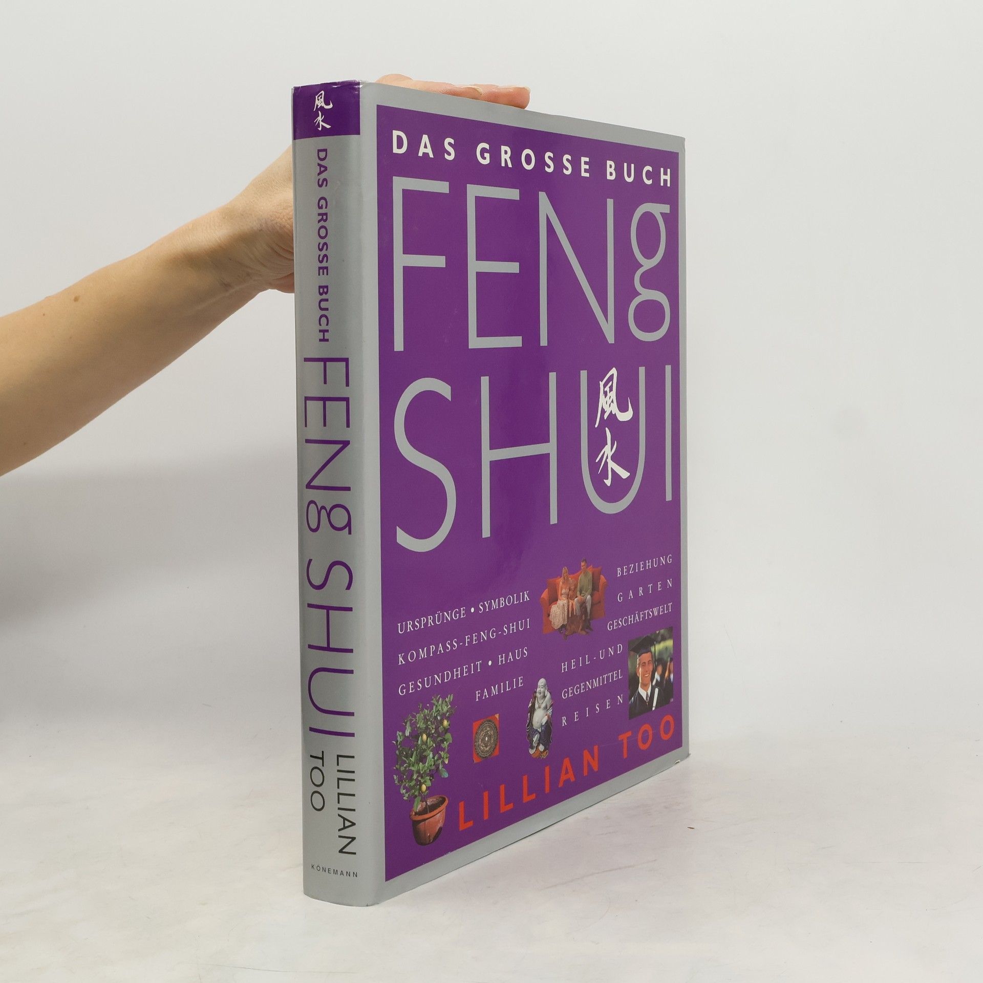 Lillian Too Das grosse Buch Feng Shui