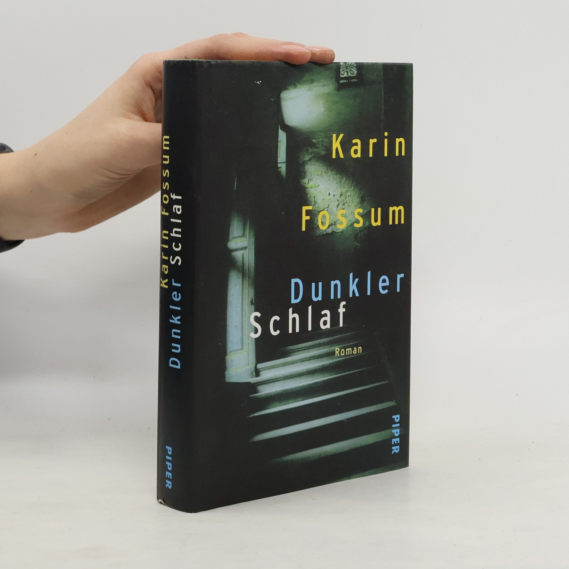 Karin Fossum Dunkler Schlaf