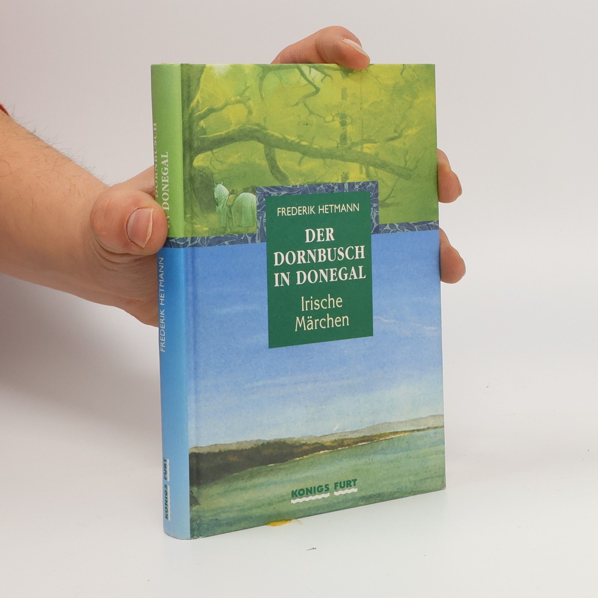 Der Dornbusch in Donegal