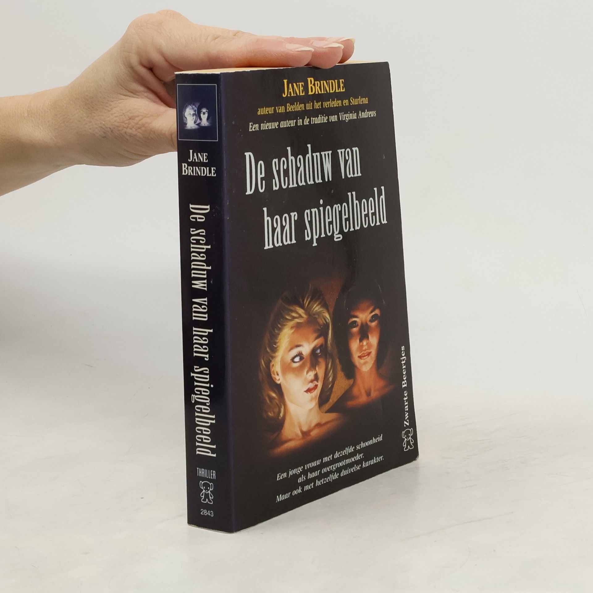 Jane Brindle De schaduw van haar spiegelbeeld