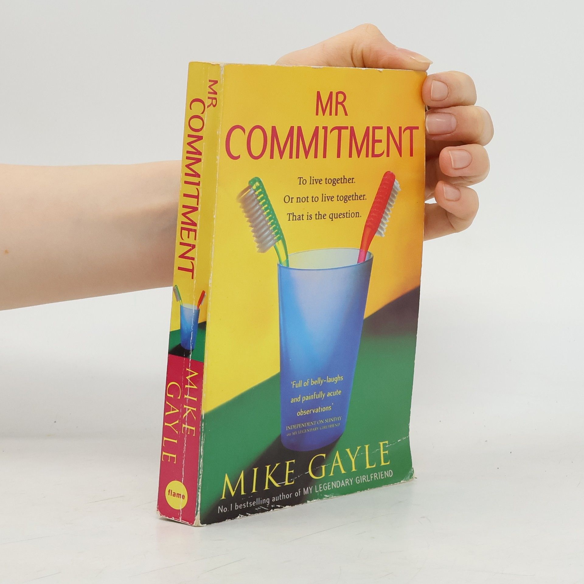 Mike Gayle Mr Commitment