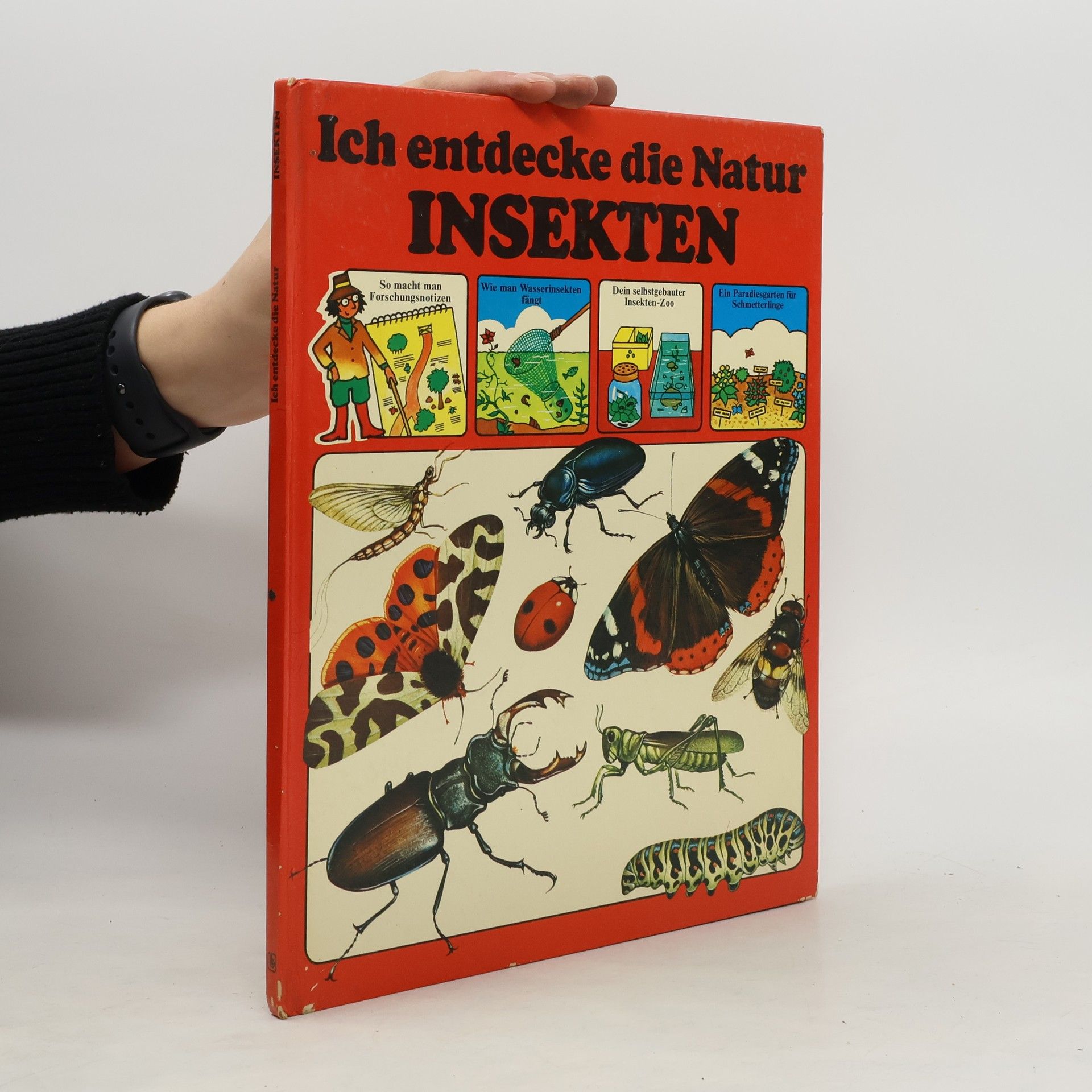 Ruth Thomson Insekten