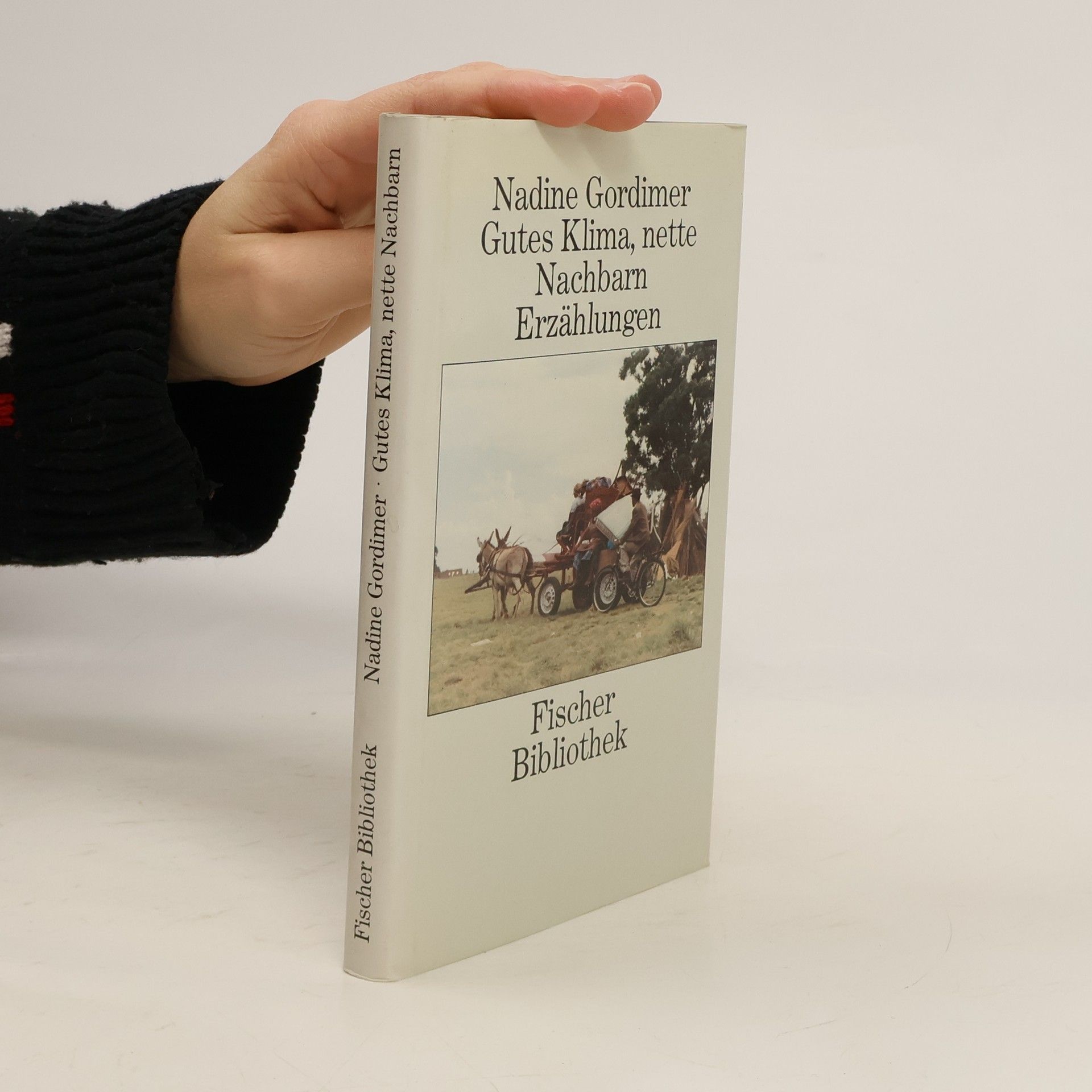 Nadine Gordimerová Gutes Klima, nette Nachbarn