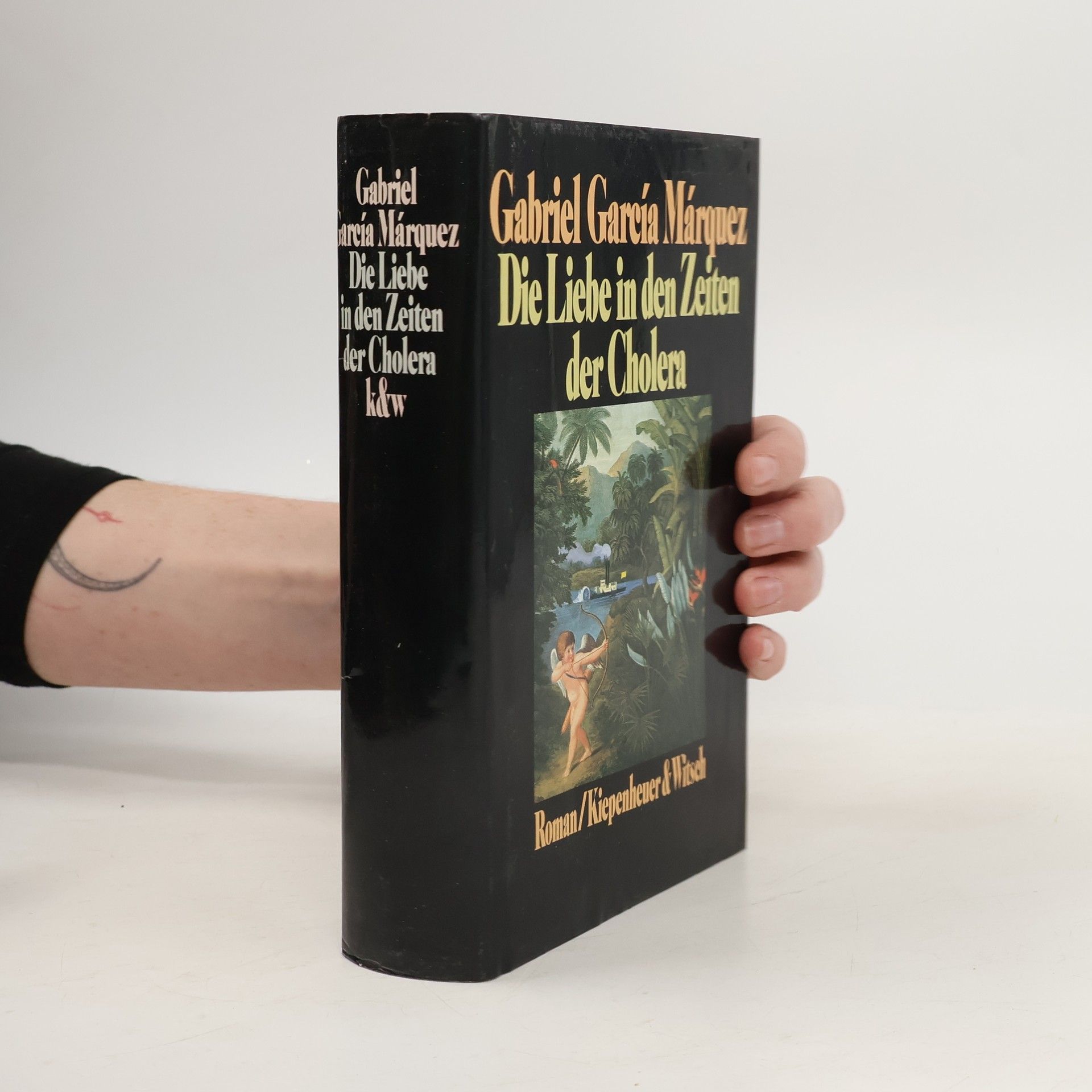 Gabriel García Márquez Die Liebe in den Zeiten der Cholera