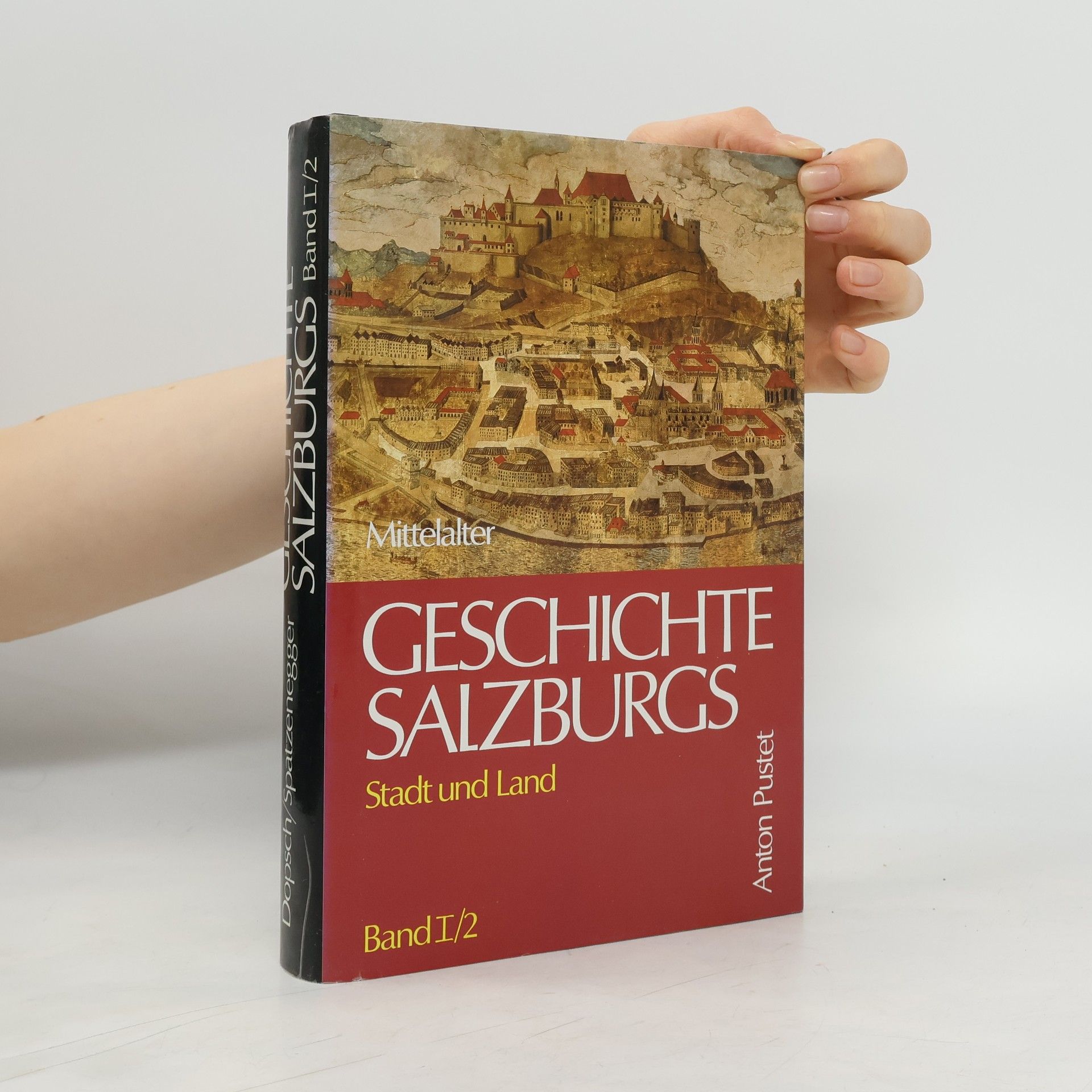 Collectif d'auteurs Geschichte Salzburgs