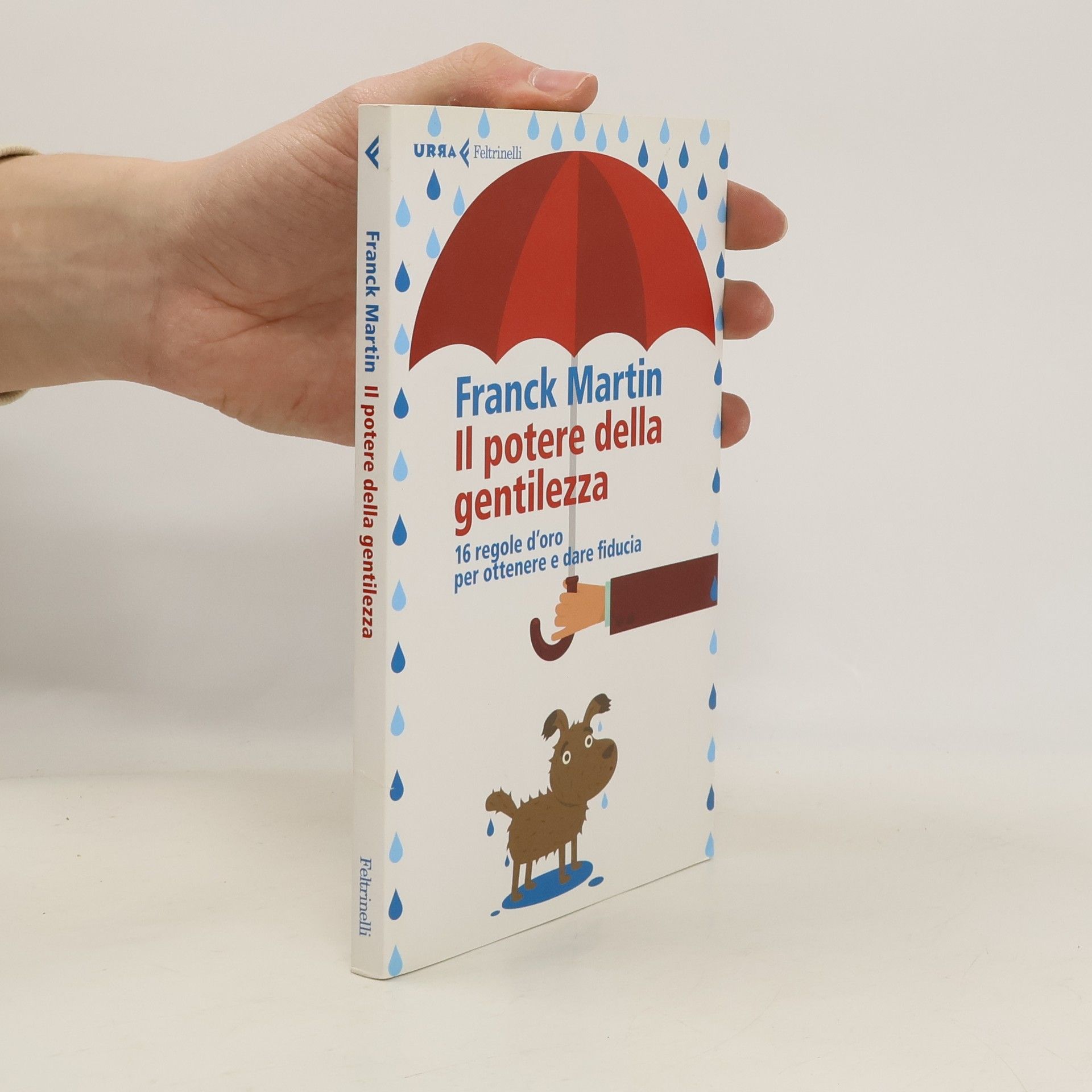 Franck Martin Il potere della gentilezza. 16 regole d'oro per ottenere e dare fiducia