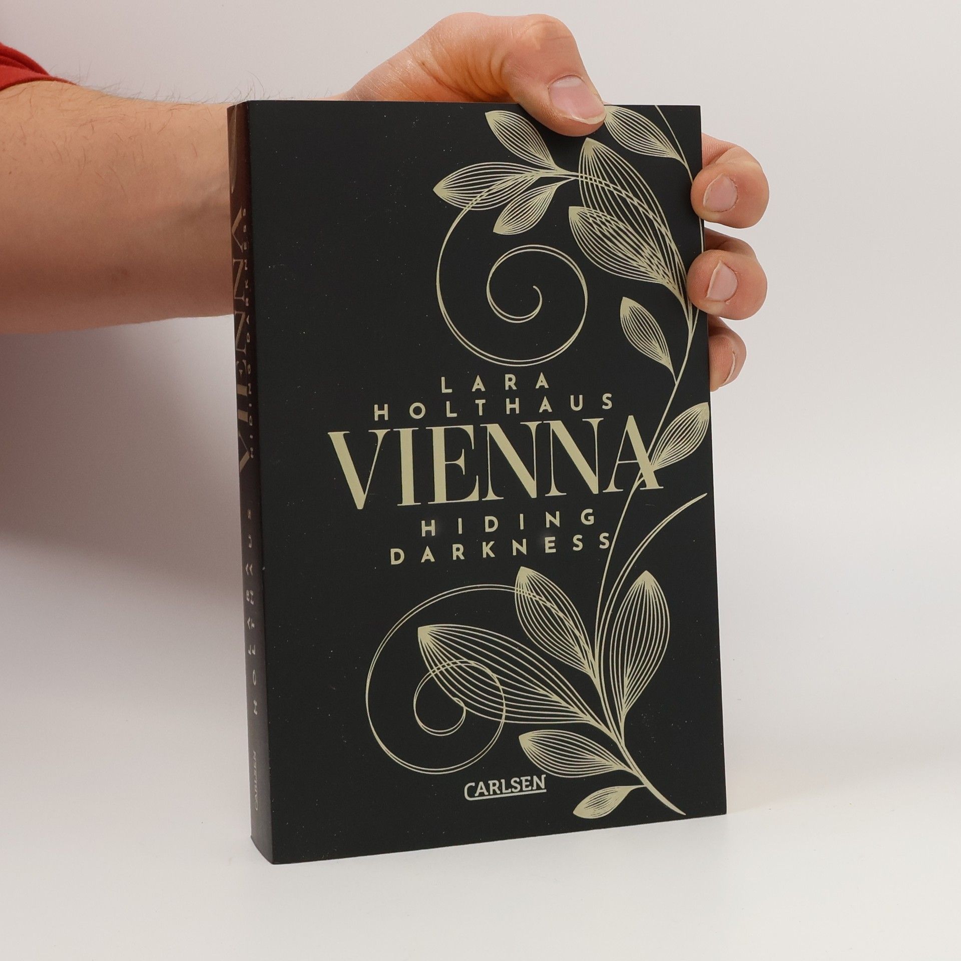 Lara Holthaus Hiding Darkness / Vienna Bd.2