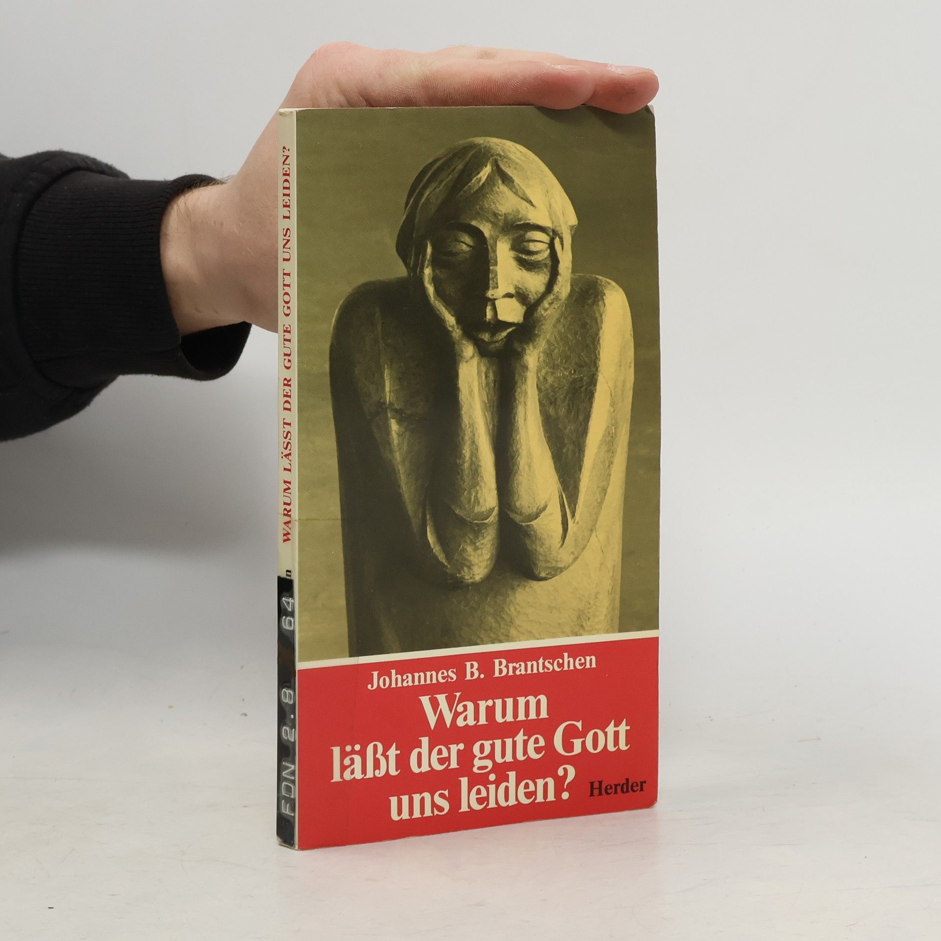 Johannes B. Brantschen Warum läßt der gute Gott uns leiden?