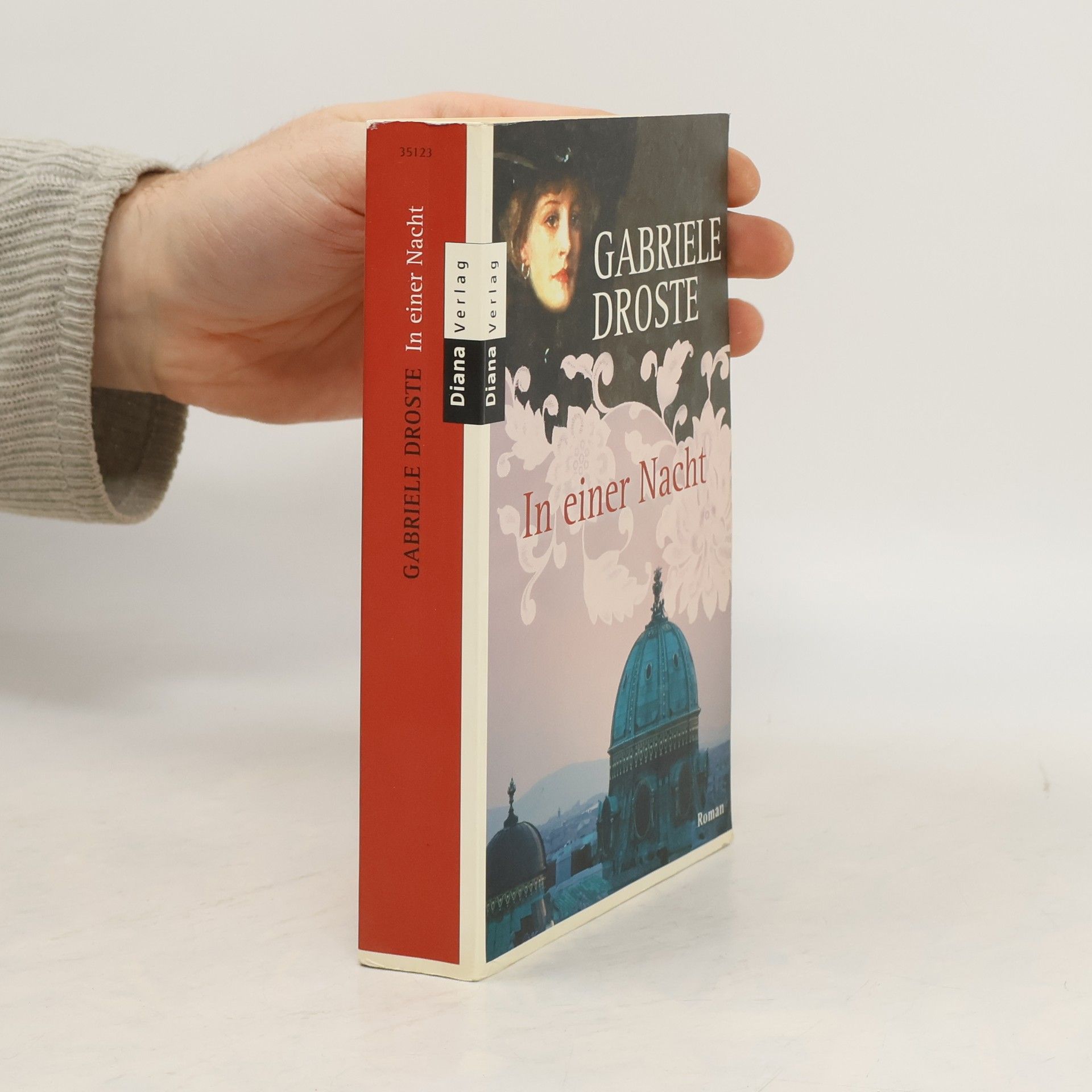 Gabriele Droste In einer Nacht