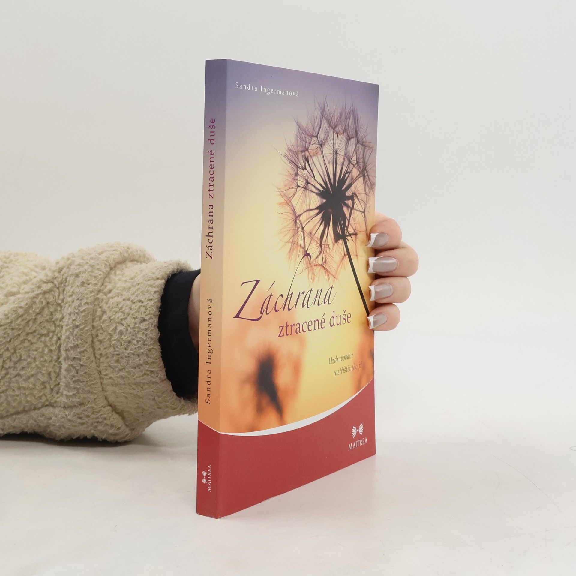 Sandra Ingerman Záchrana ztracené duše. Uzdravování roztříštěného já