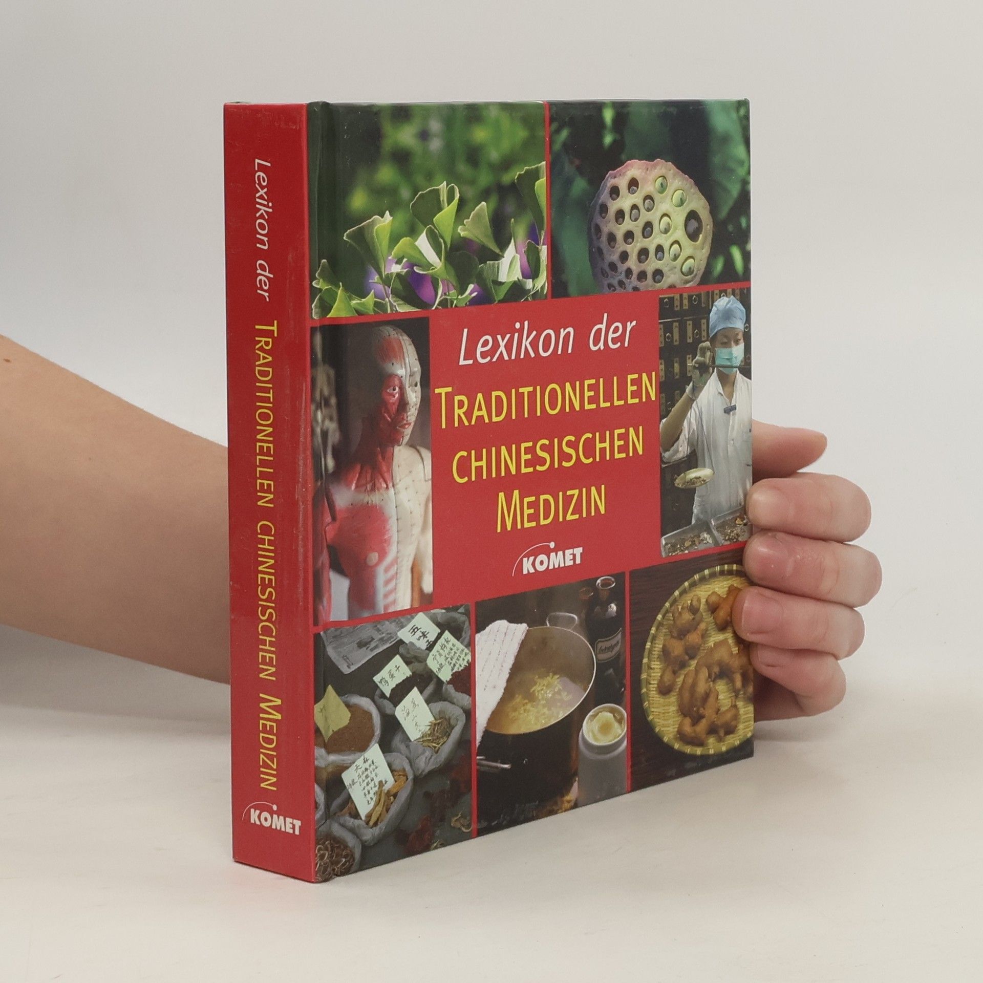 Kolektiv autorů Traditionelle chinesische Medizin