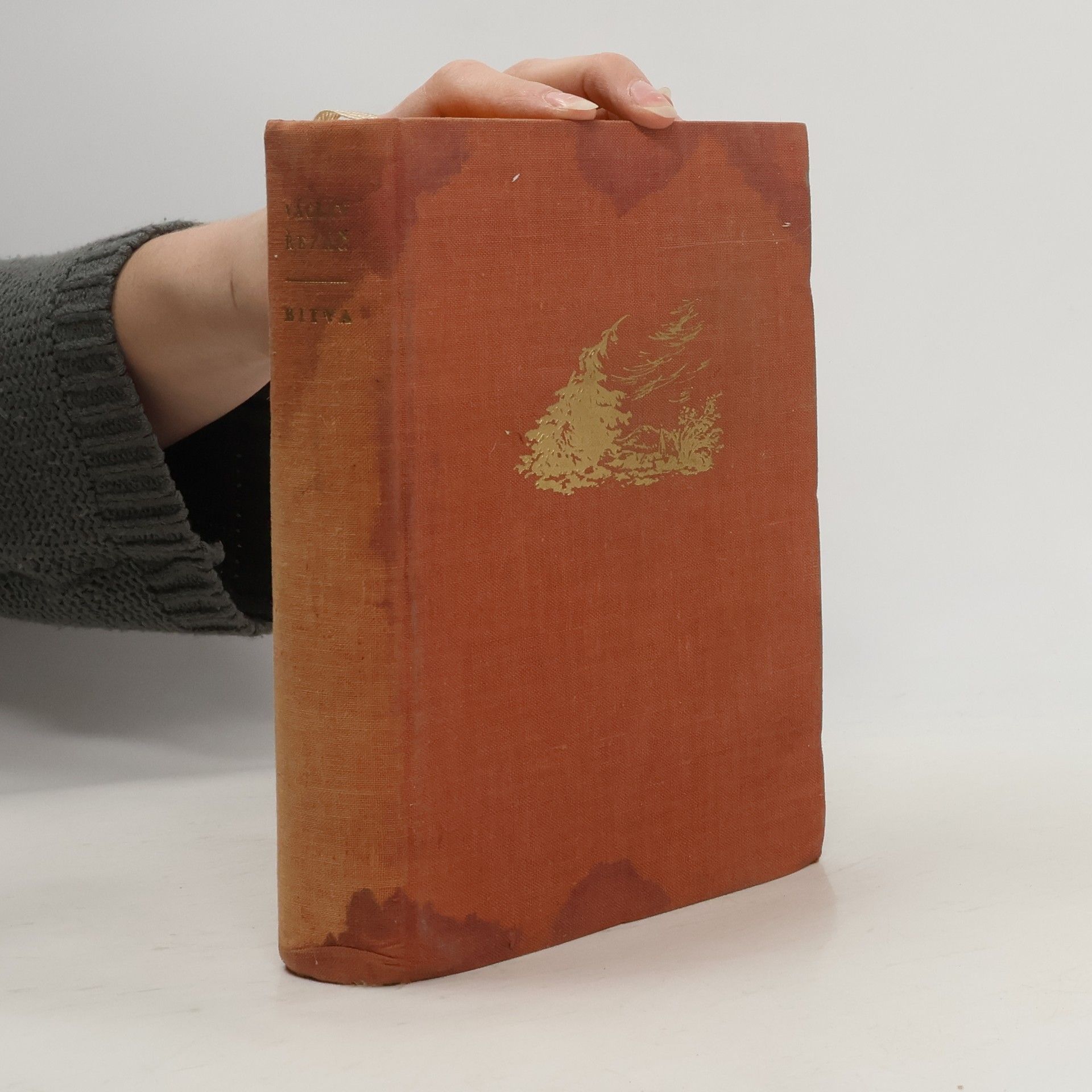 Václav Řezáč Bitva