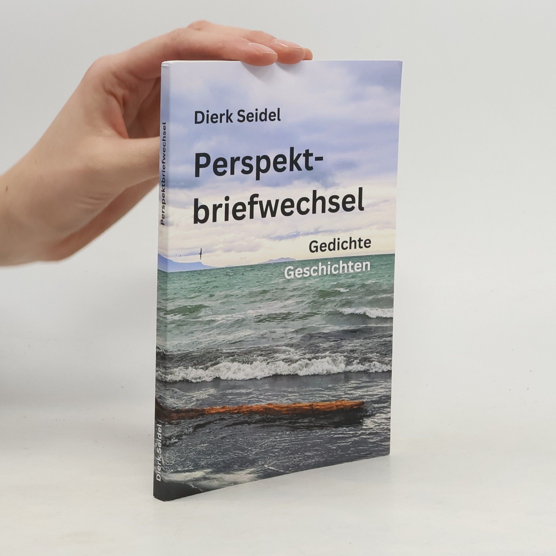 Dierk Seidel Perspektbriefwechsel