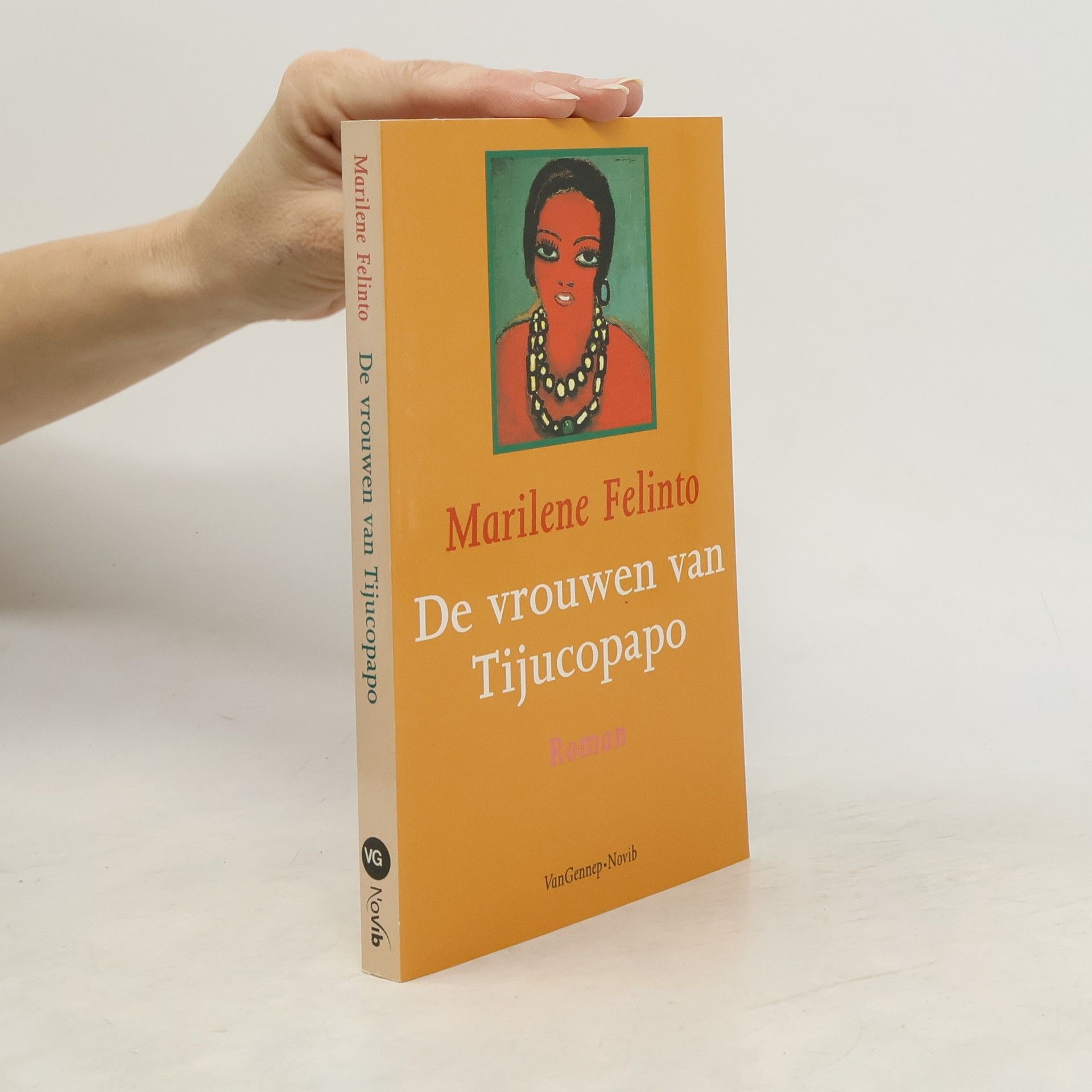 Marilene Felinto De vrouwen van Tijucopapo