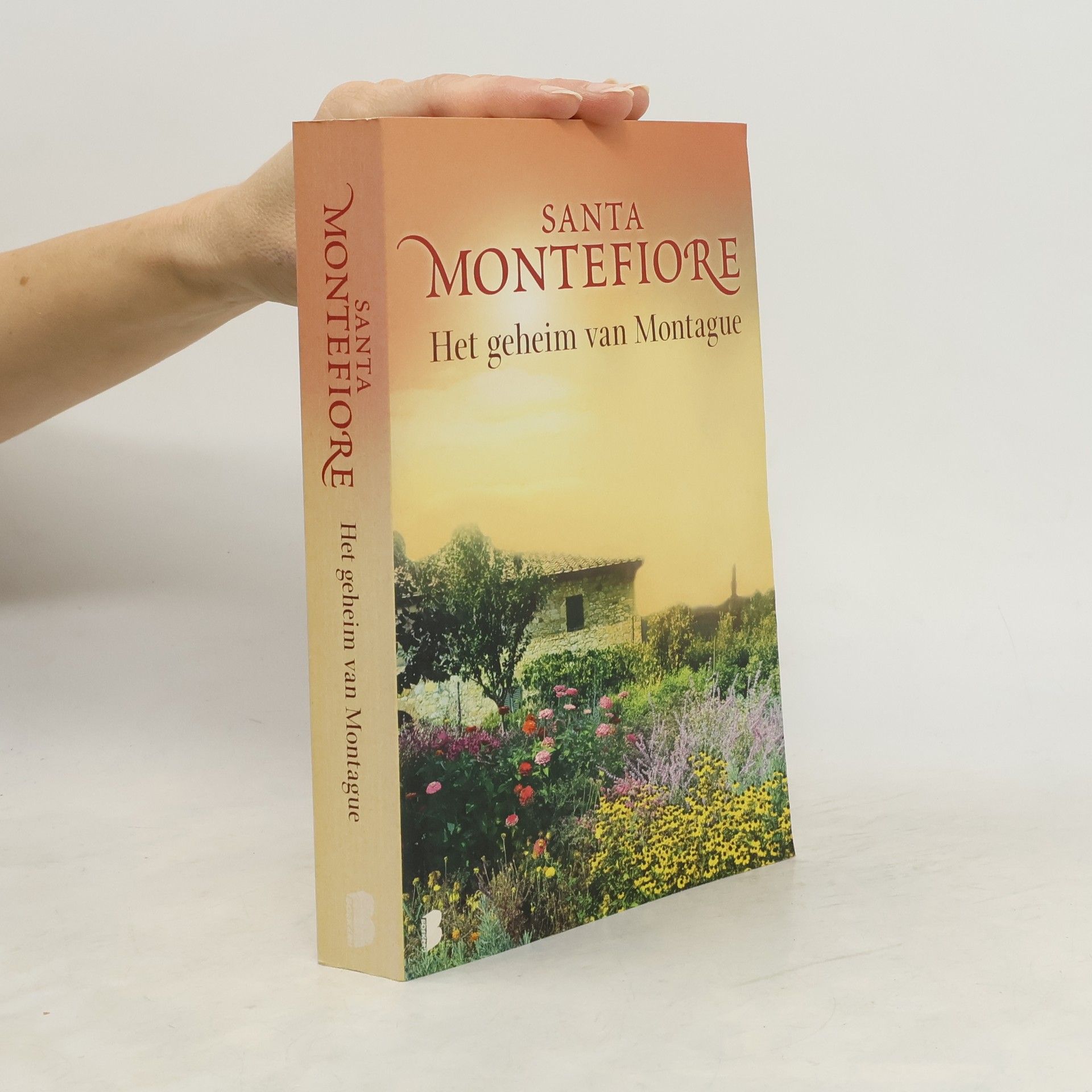 Santa Montefiore Het geheim van Montague