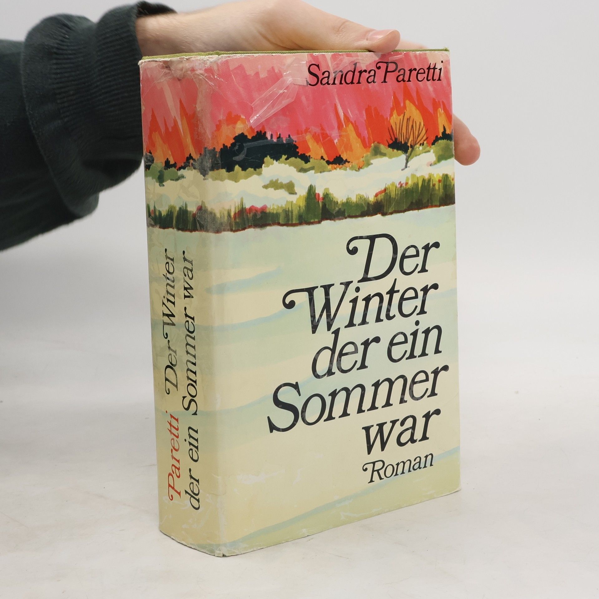 Sandra Paretti Der Winter der ein Sommer war