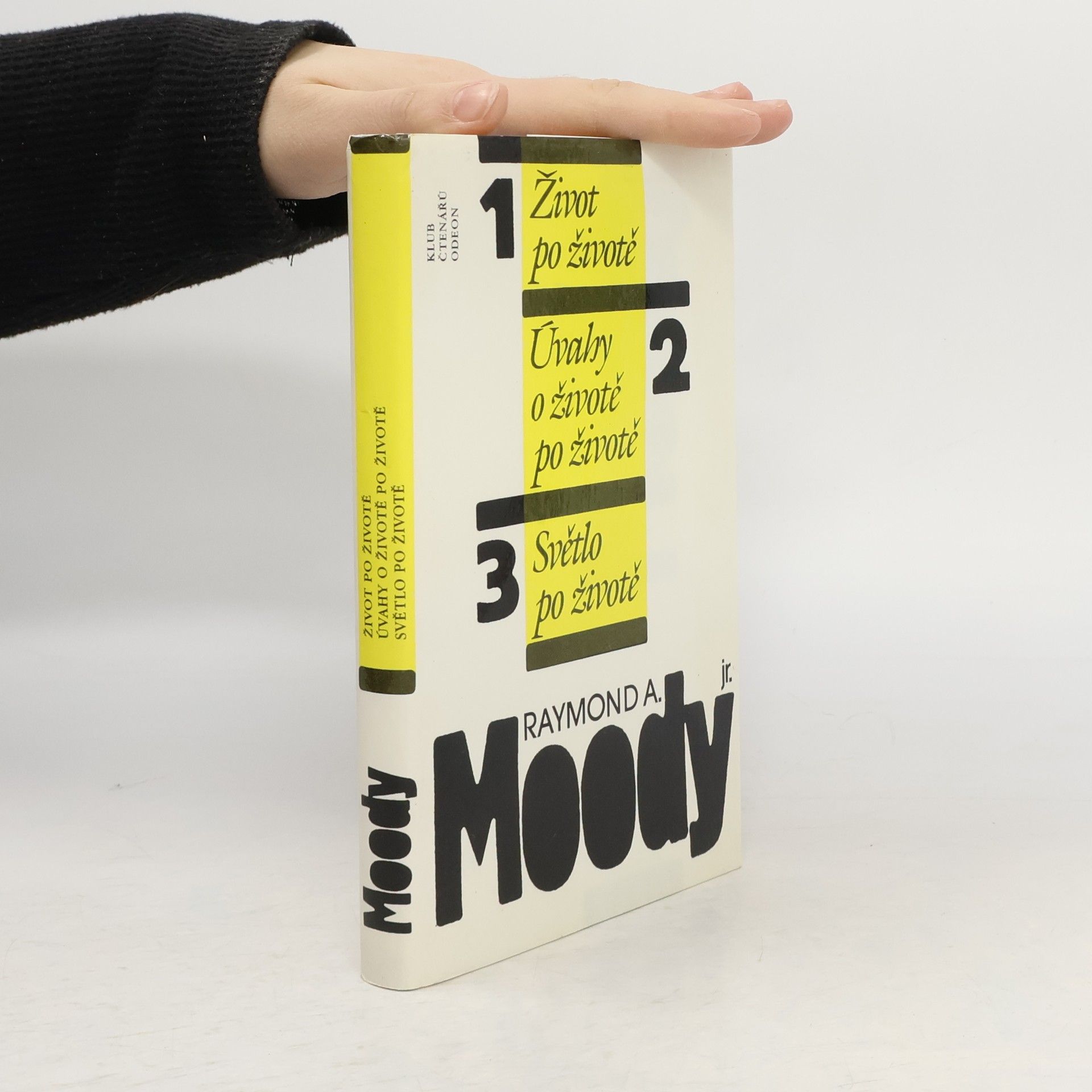 Život po životě. Úvahy o životě po životě. Světlo po životě