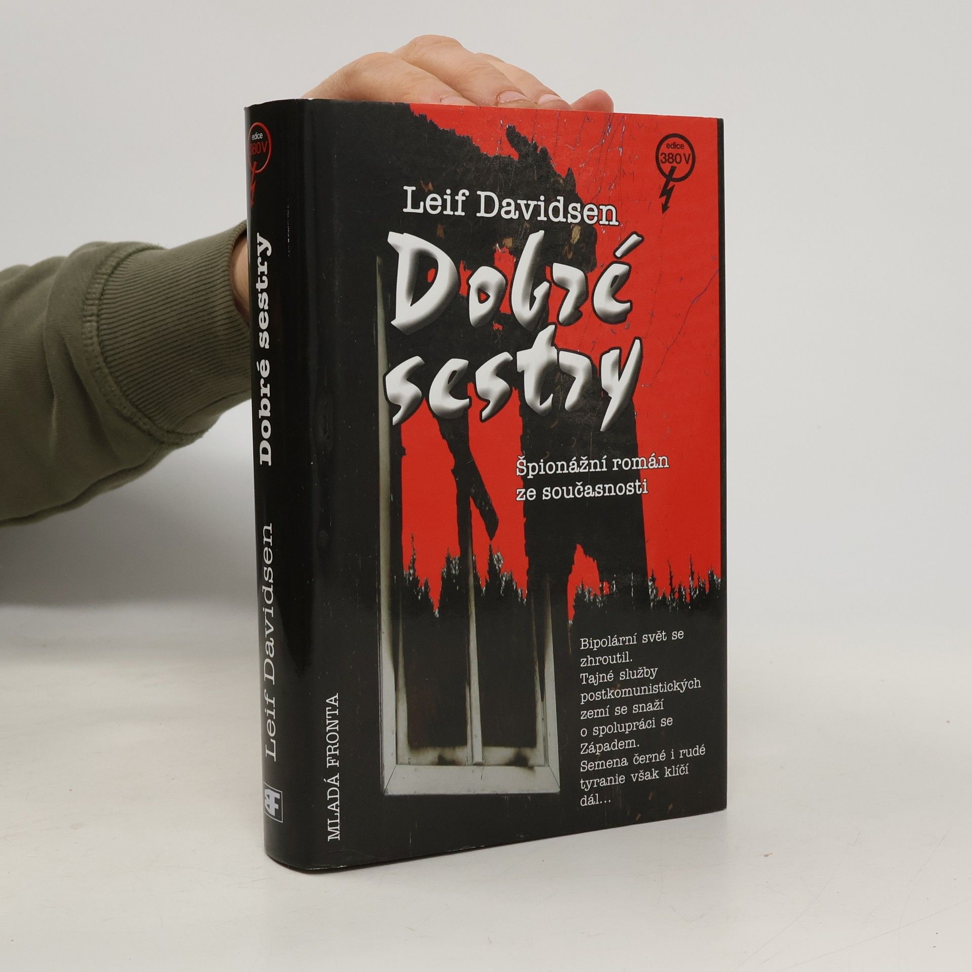 Leif Davidsen Dobré sestry