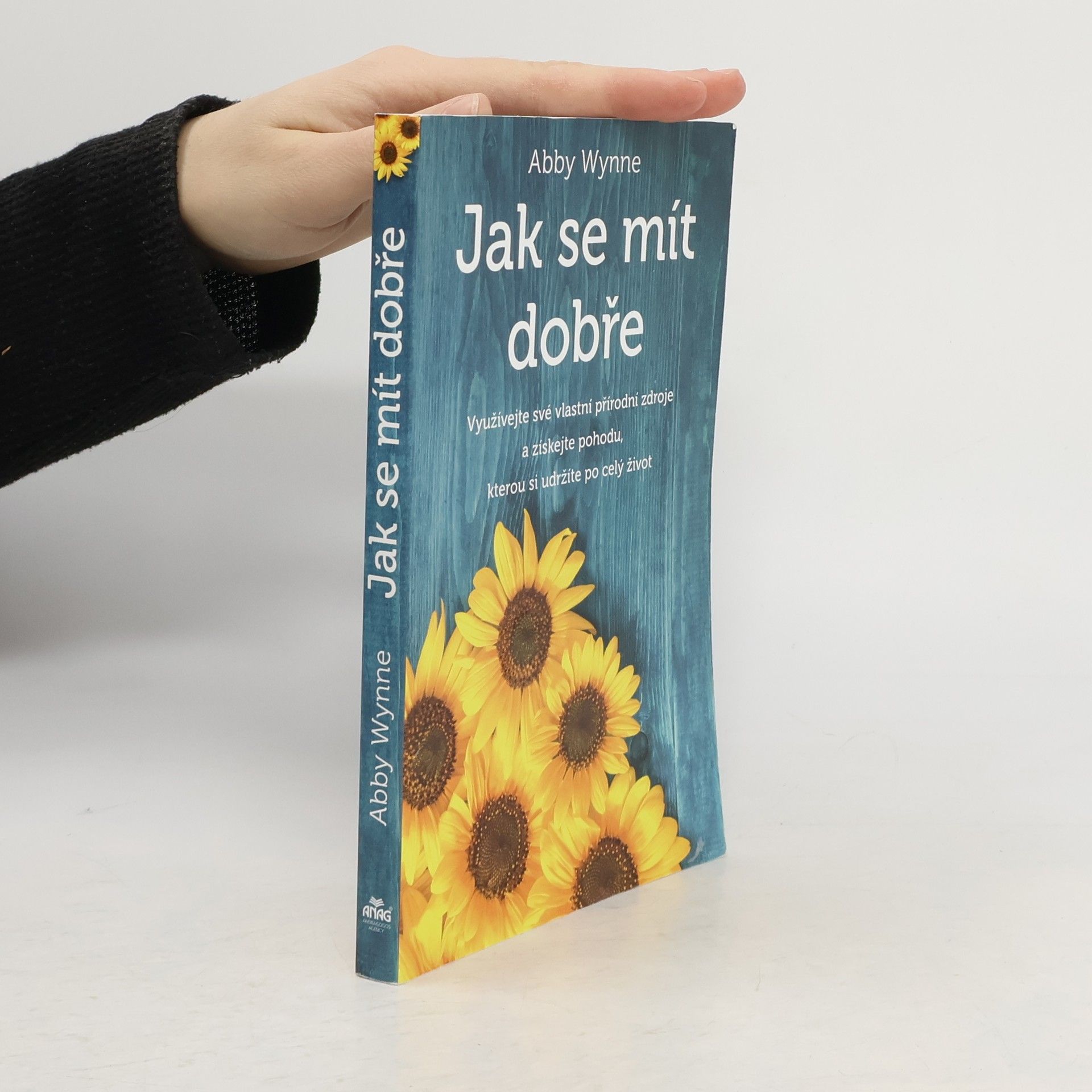 Abby Wynne Jak se mít dobře