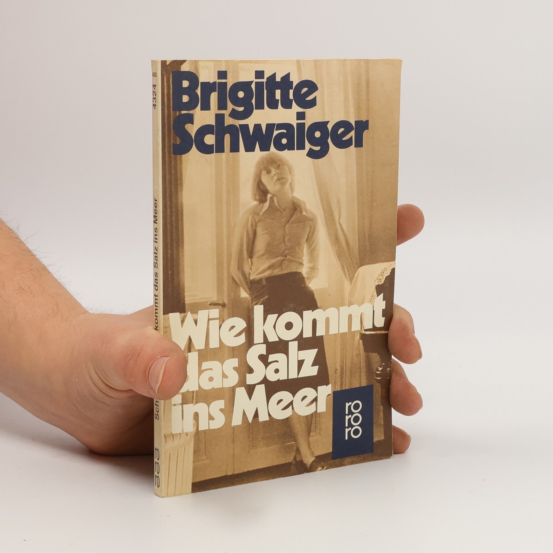 Brigitte Schwaiger Wie kommt das Salz ins Meer