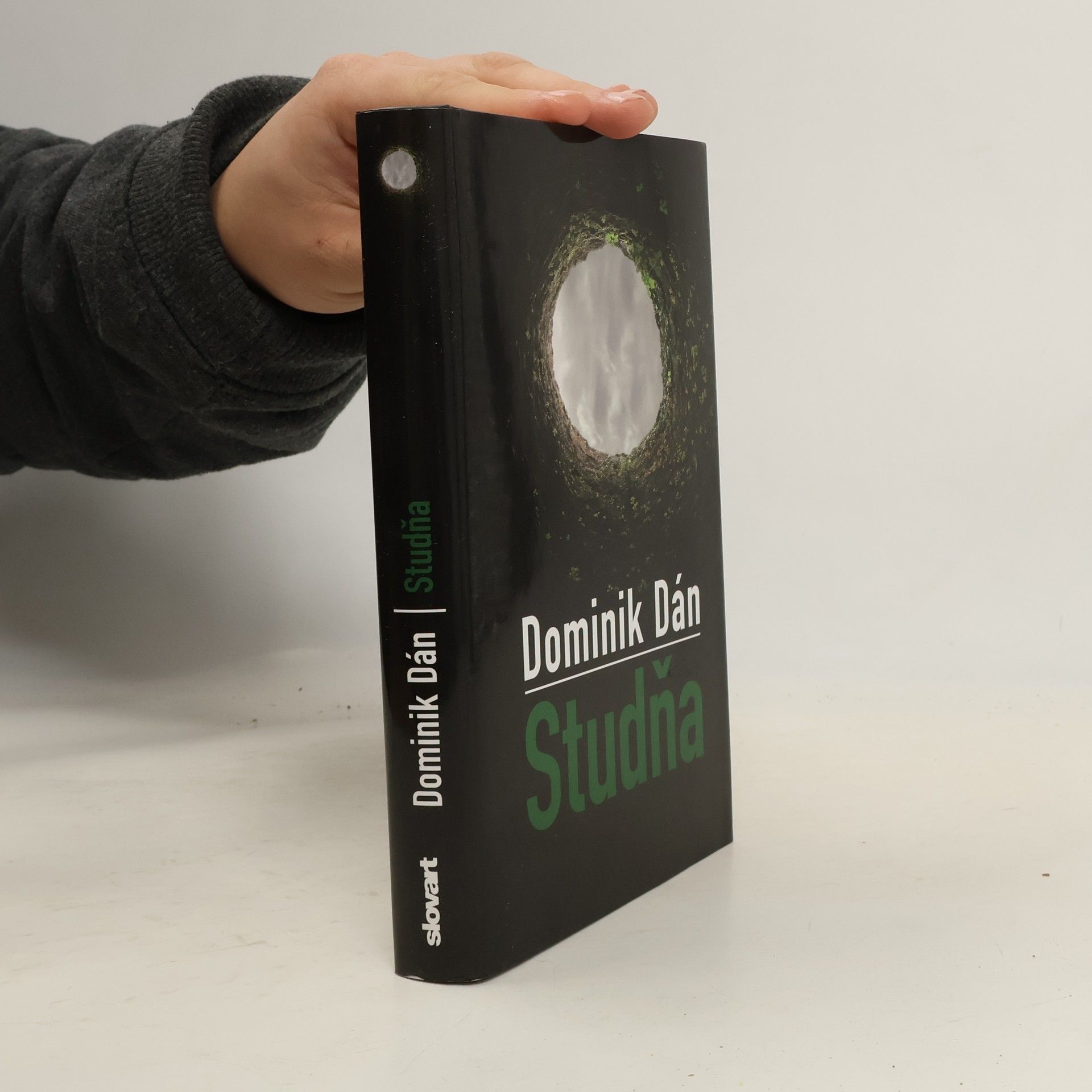 Dominik Dán Studňa