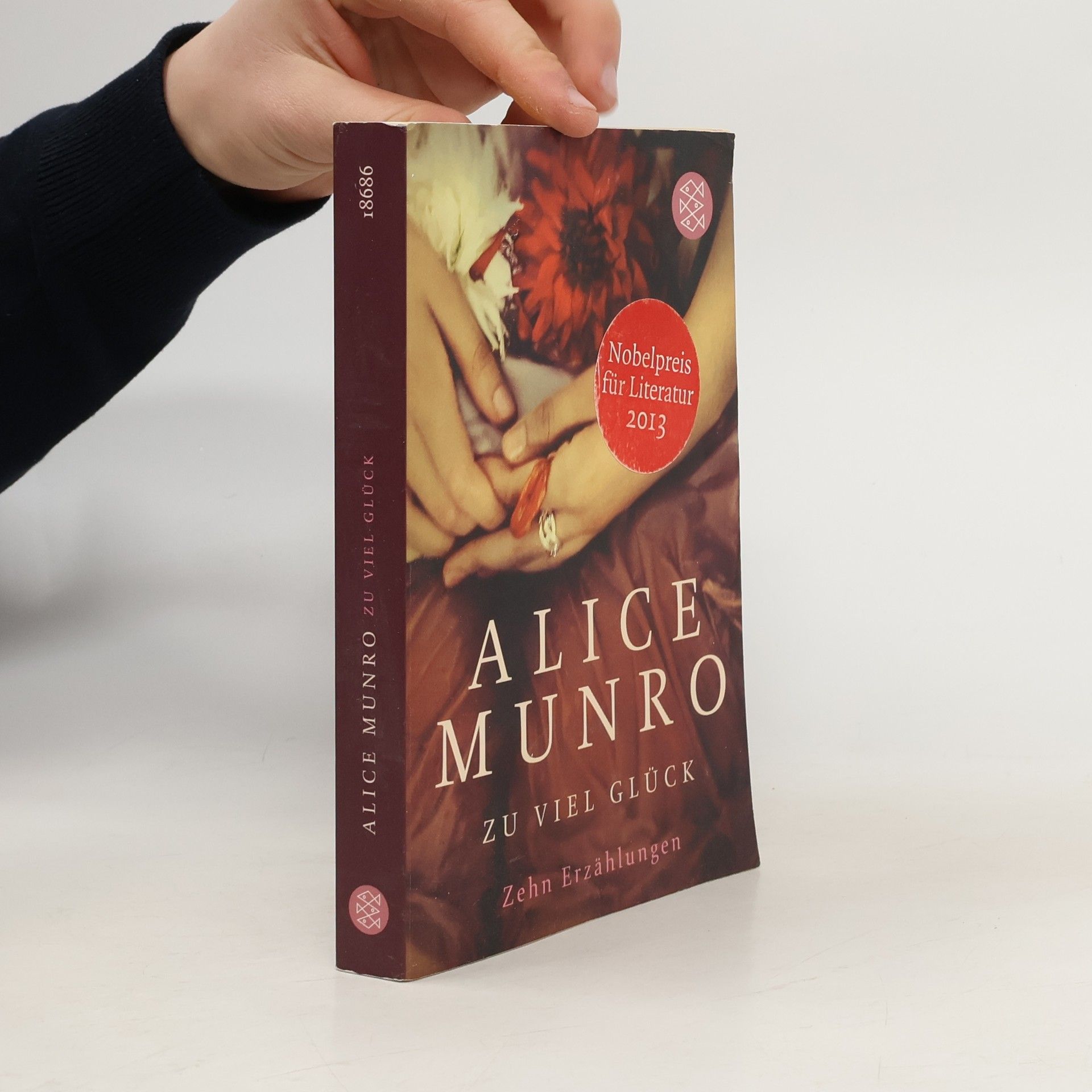 Alice Munro Zu viel Glück. zehn erzählungen