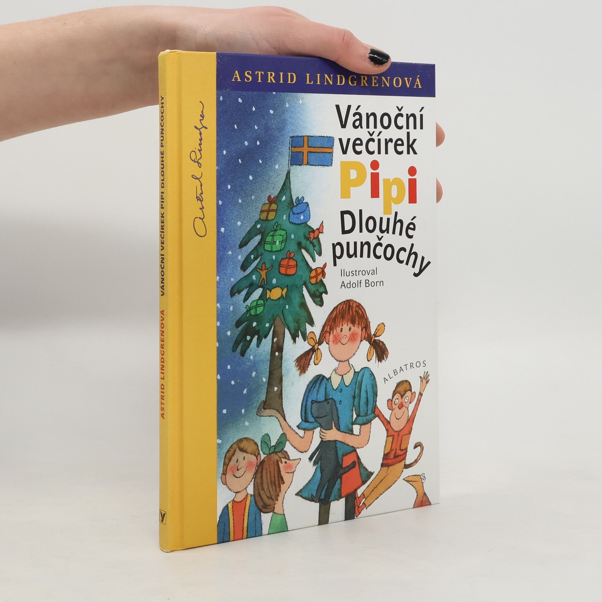 Vánoční večírek Pipi Dlouhé punčochy