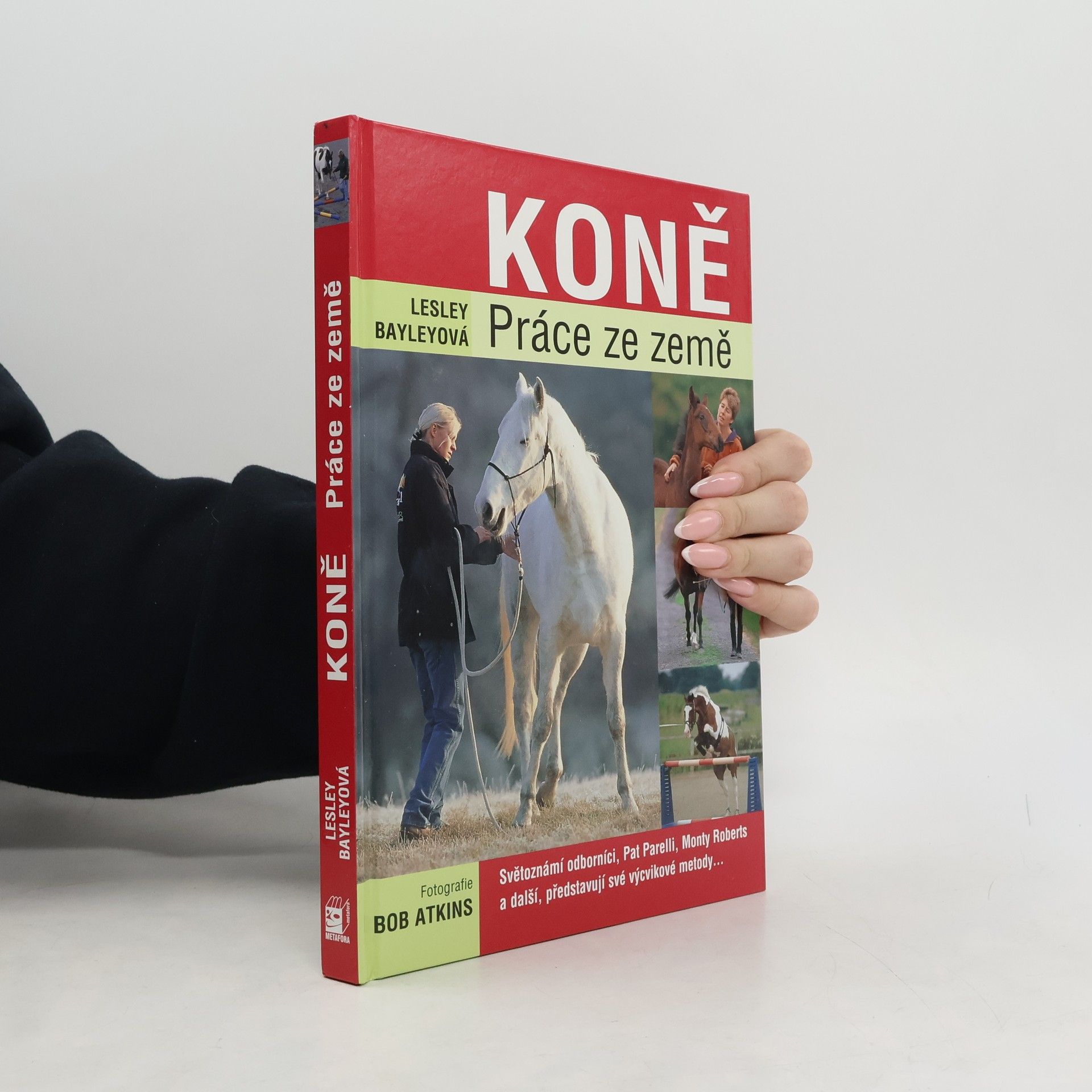 Lesley Bayley Koně. Práce ze země