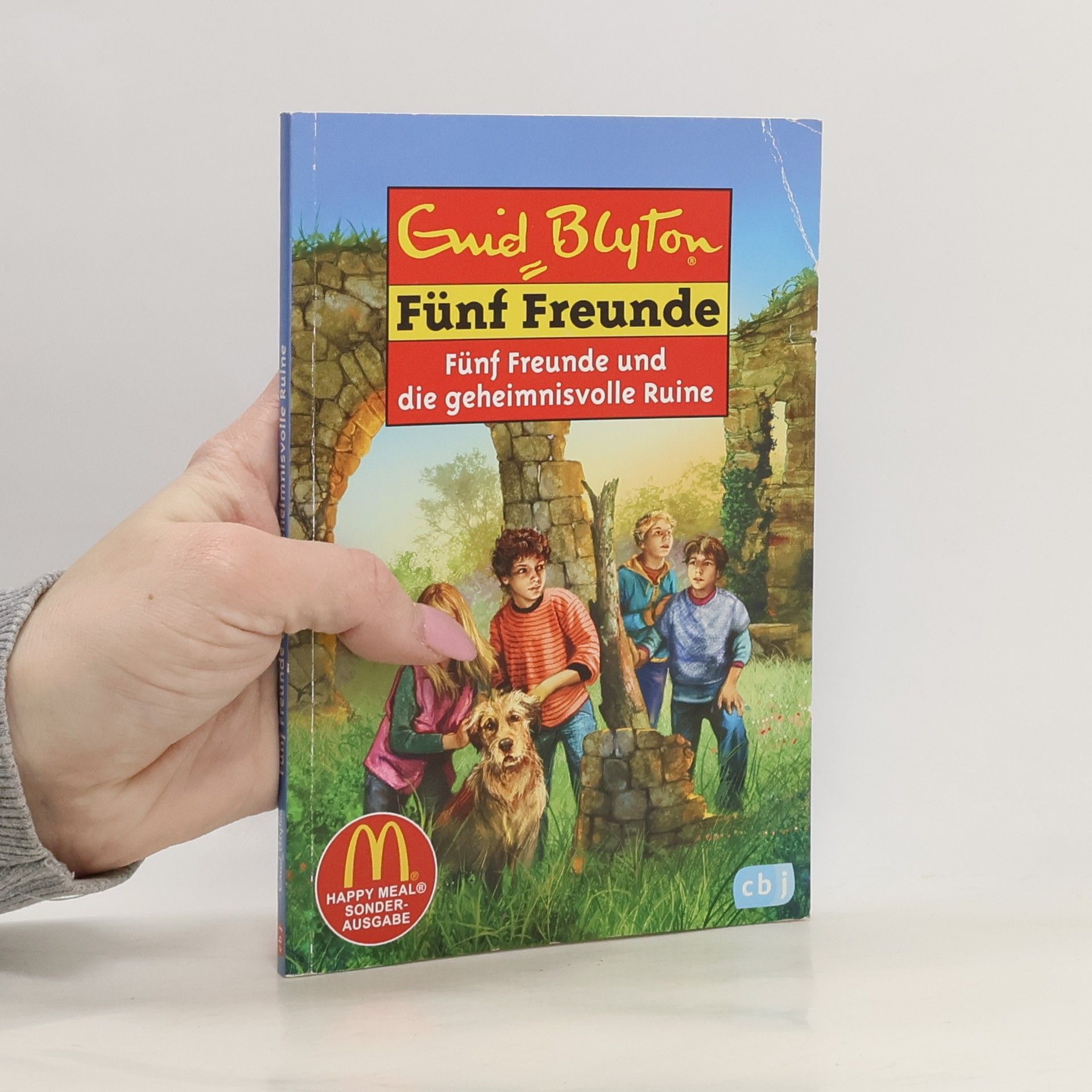 Sarah Bosse Fünf Freunde und die geheimnisvolle Ruine