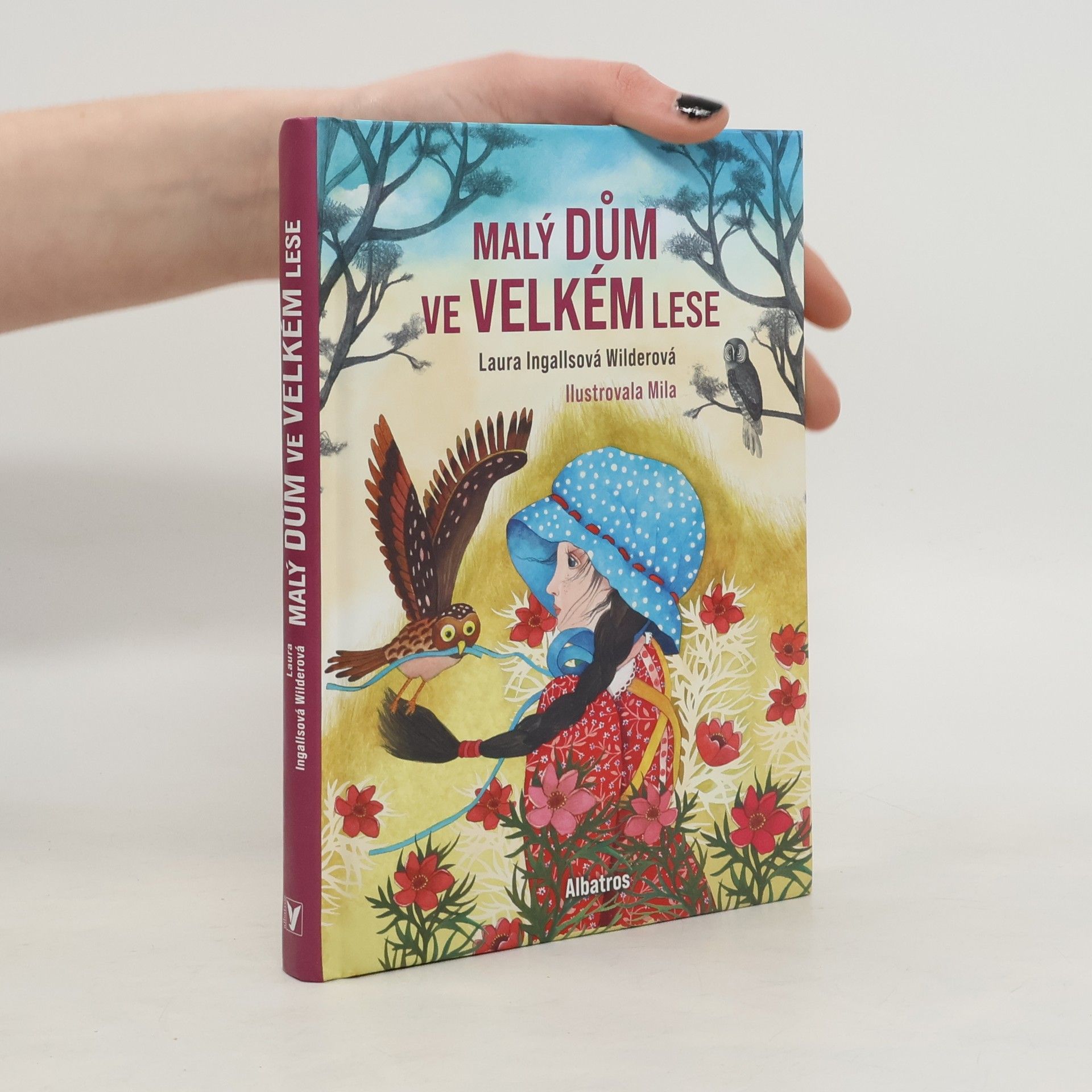 Laura Ingalls Wilder Malý dům ve Velkém lese