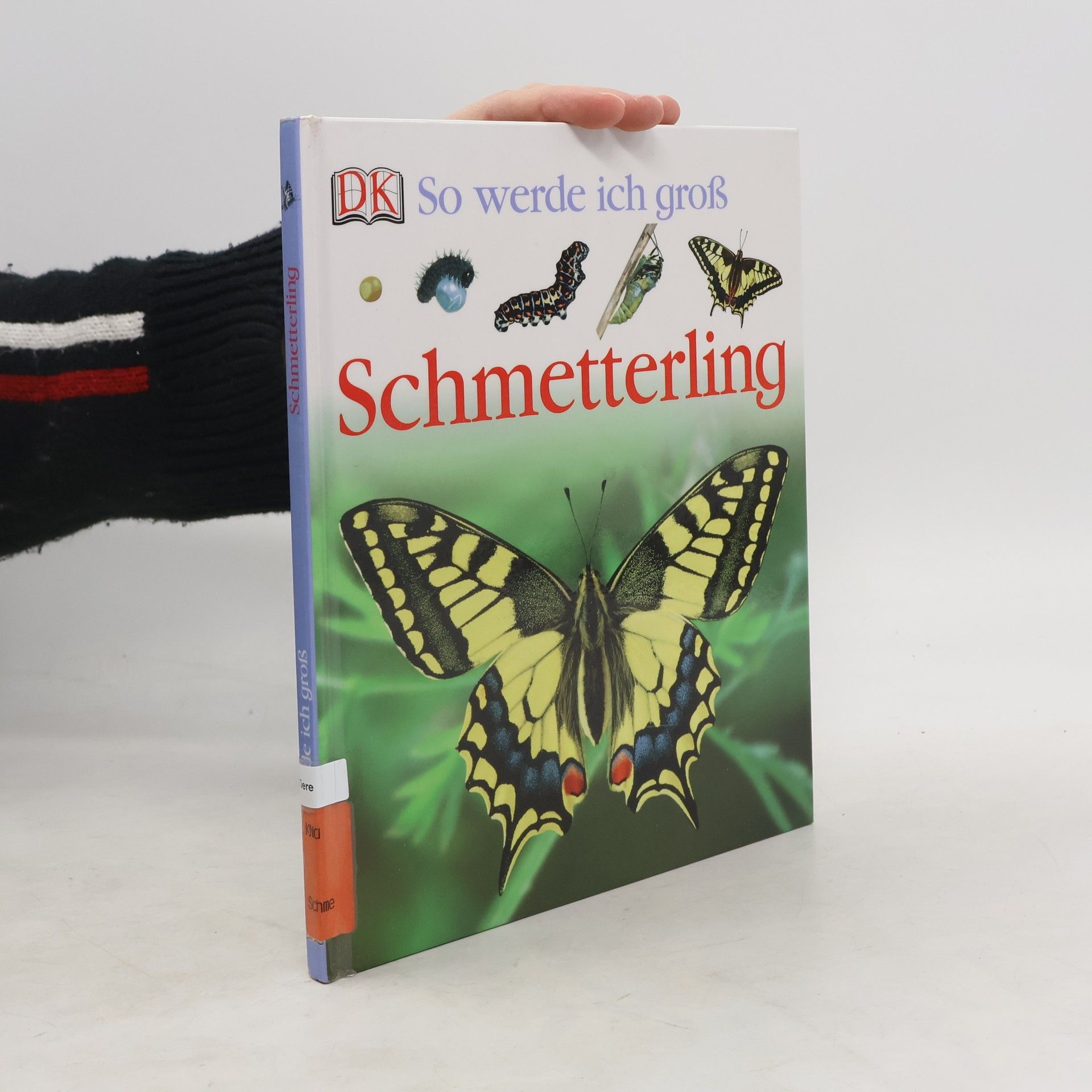 Schmetterling