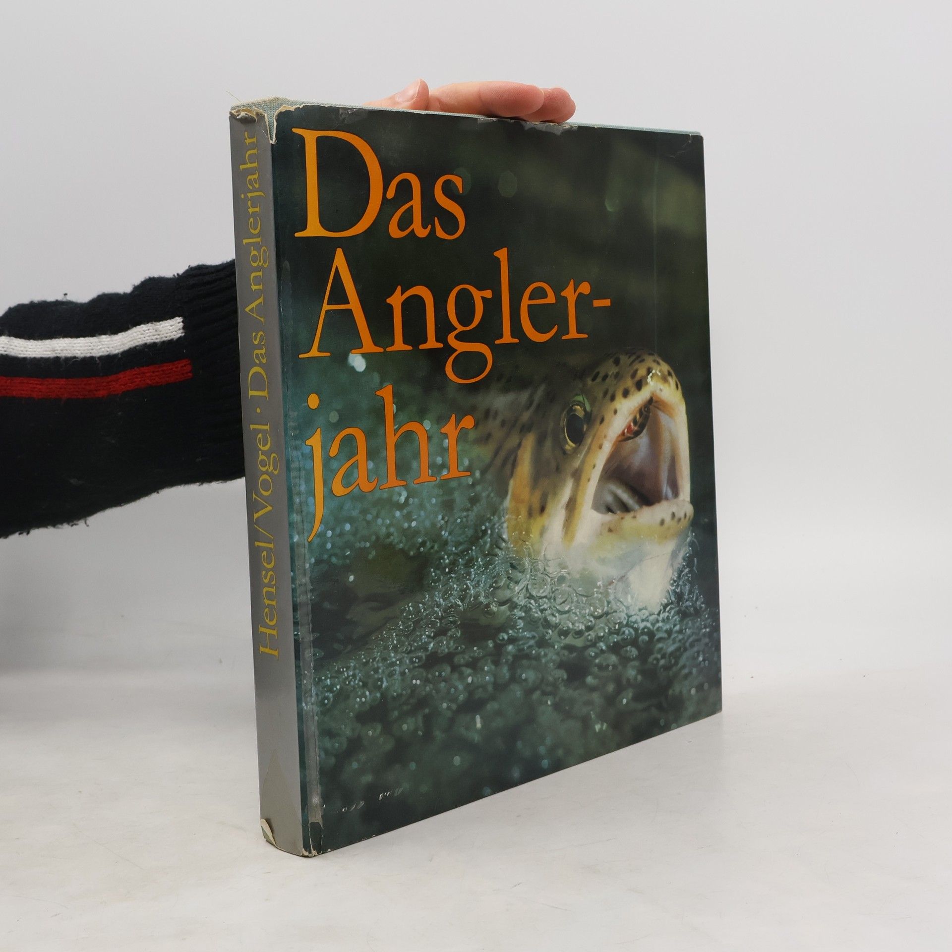 Das Anglerjahr