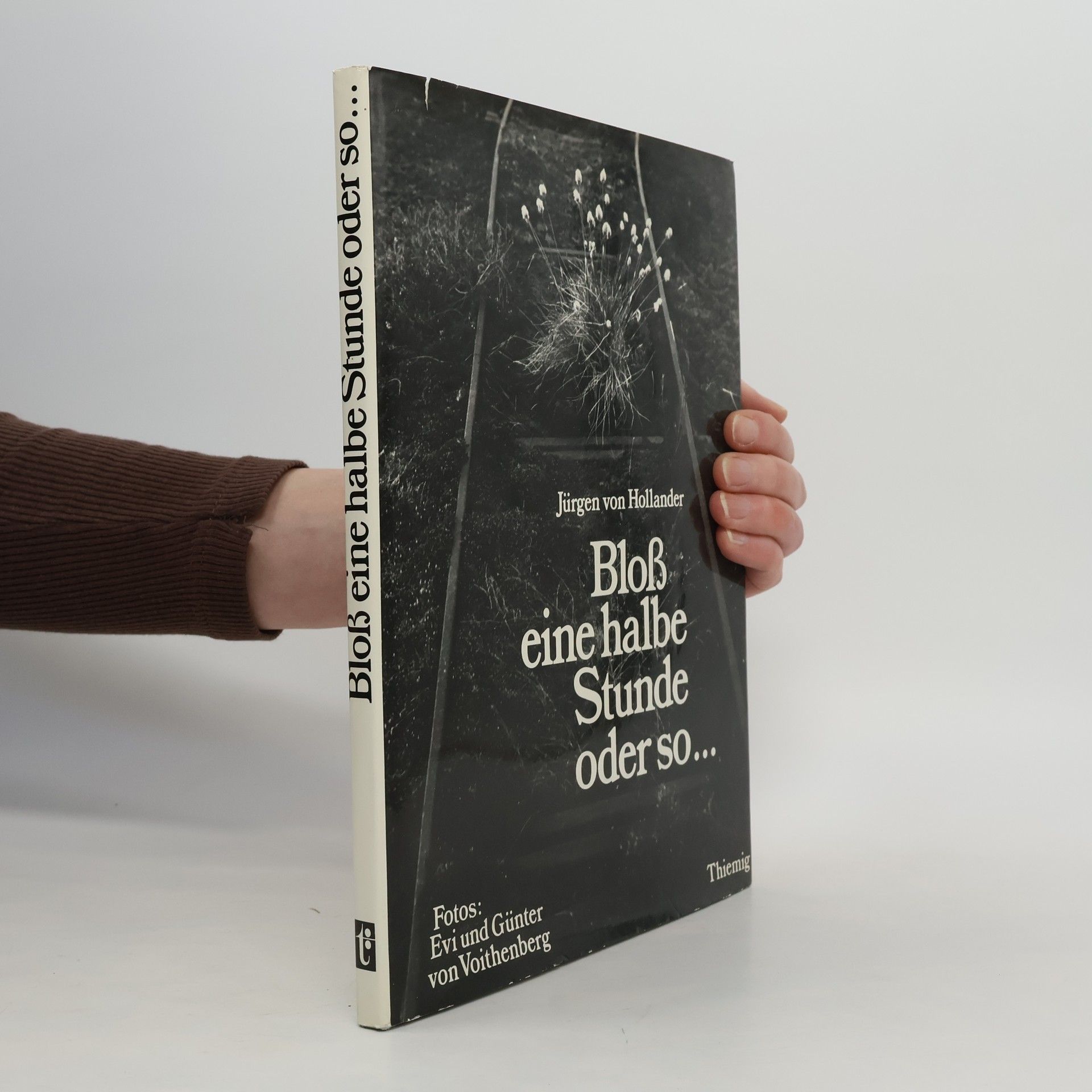 Bloß eine halbe Stunde oder so ...