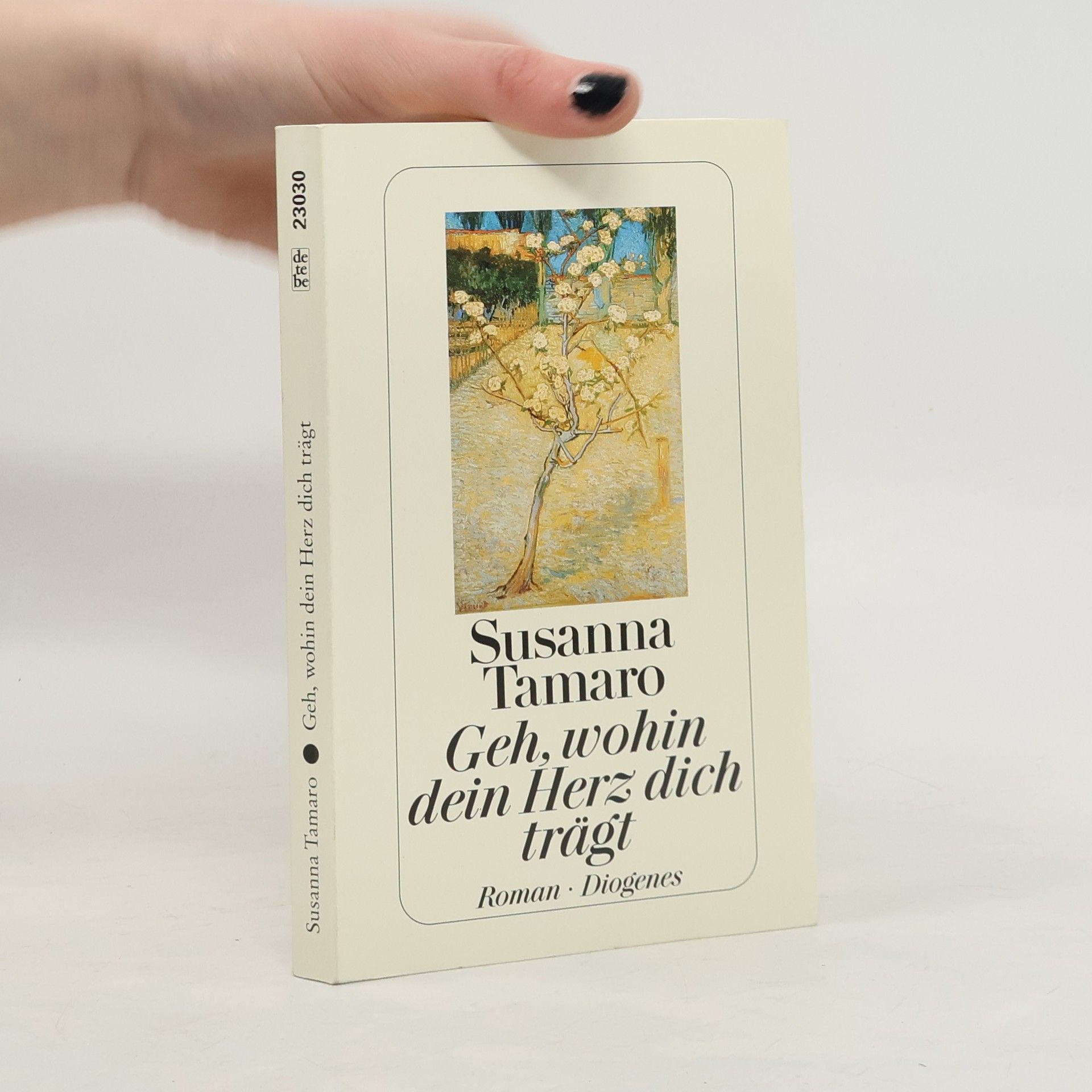 Susanna Tamaro Geh, wohin dein Herz dich trägt