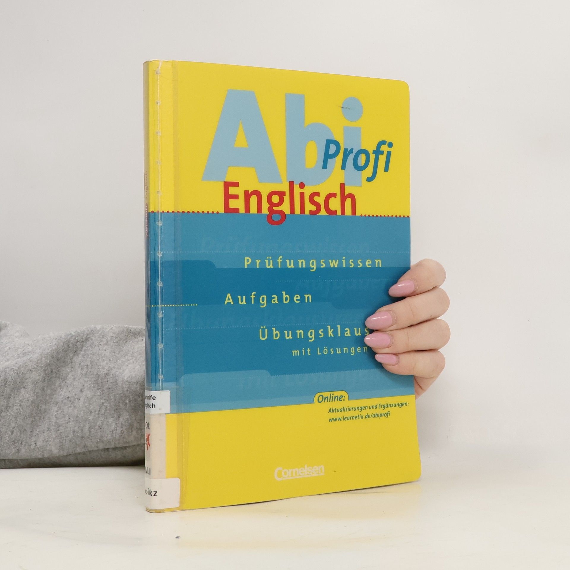 Abi Profi Englisch