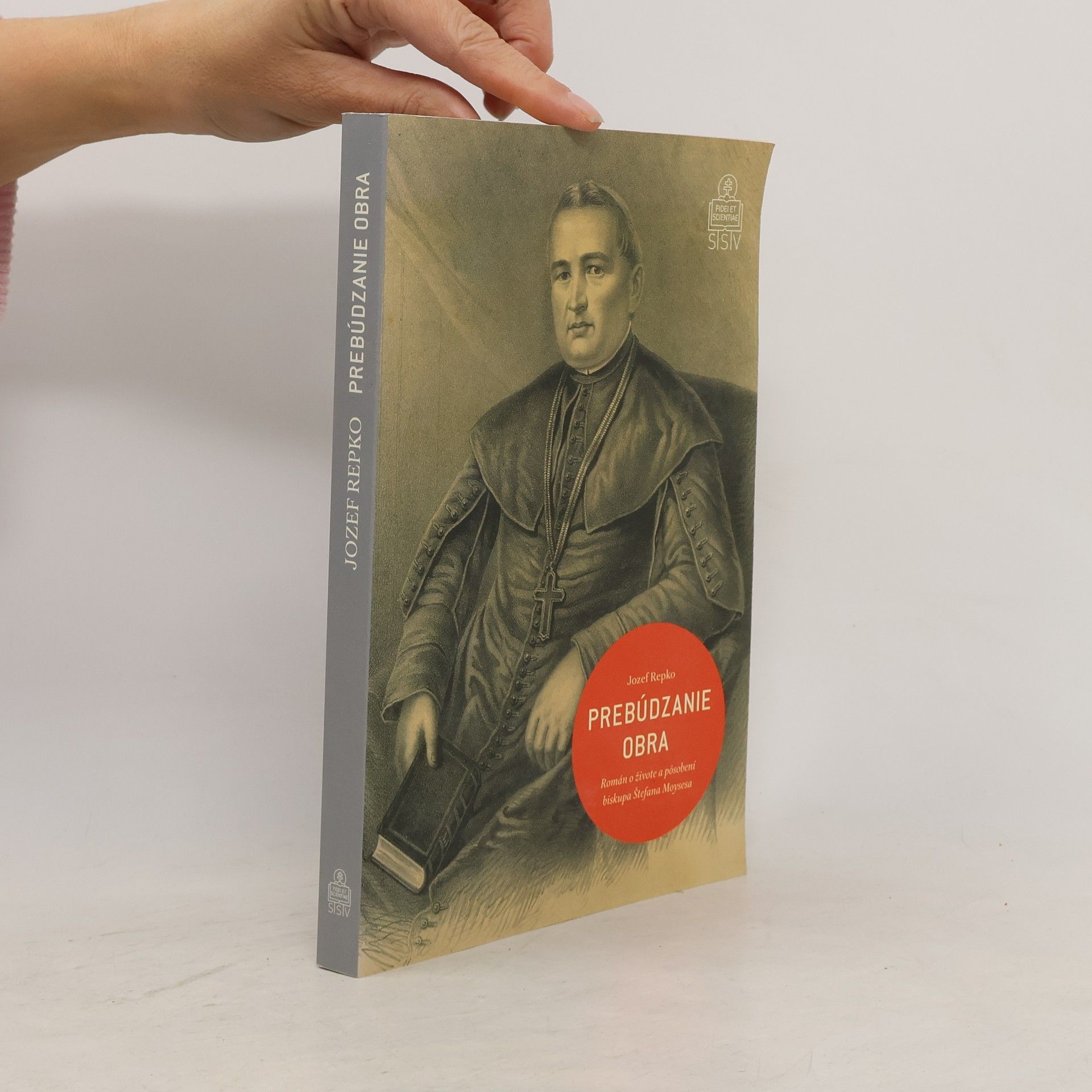 Jozef Repko Prebúdzanie obra