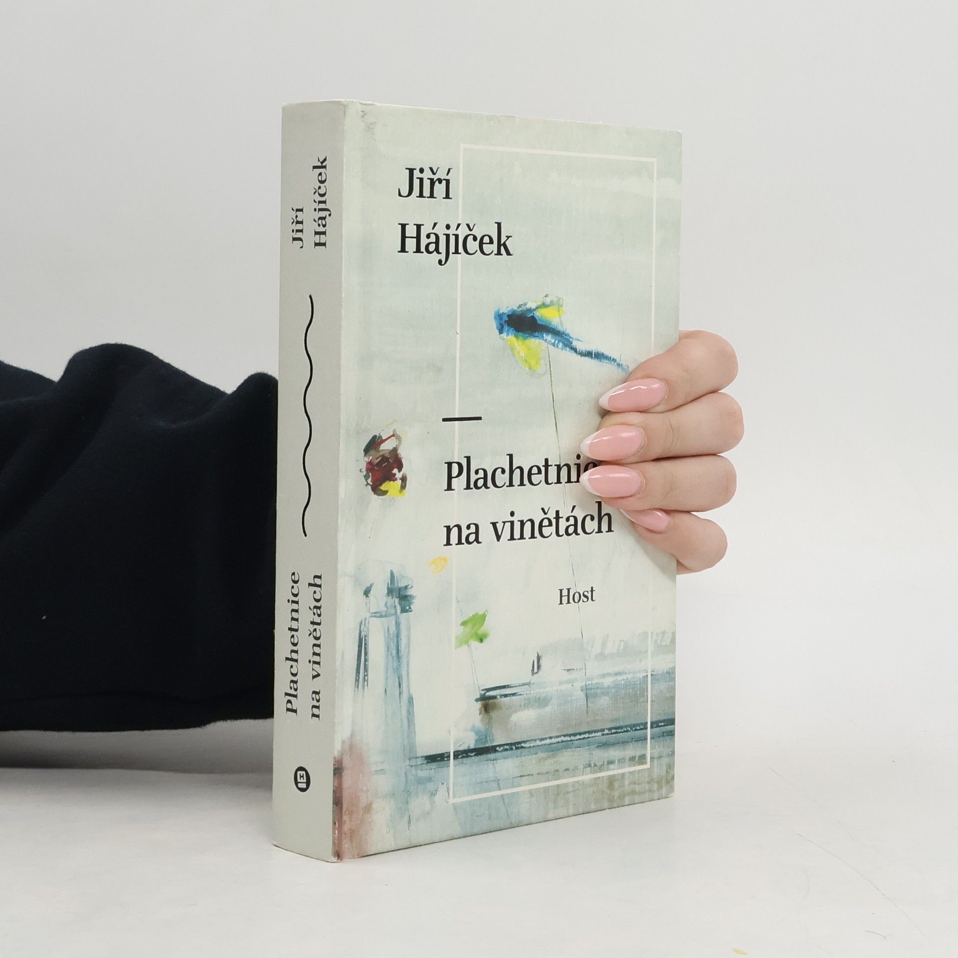 Jiří Hájíček Plachetnice na vinětách