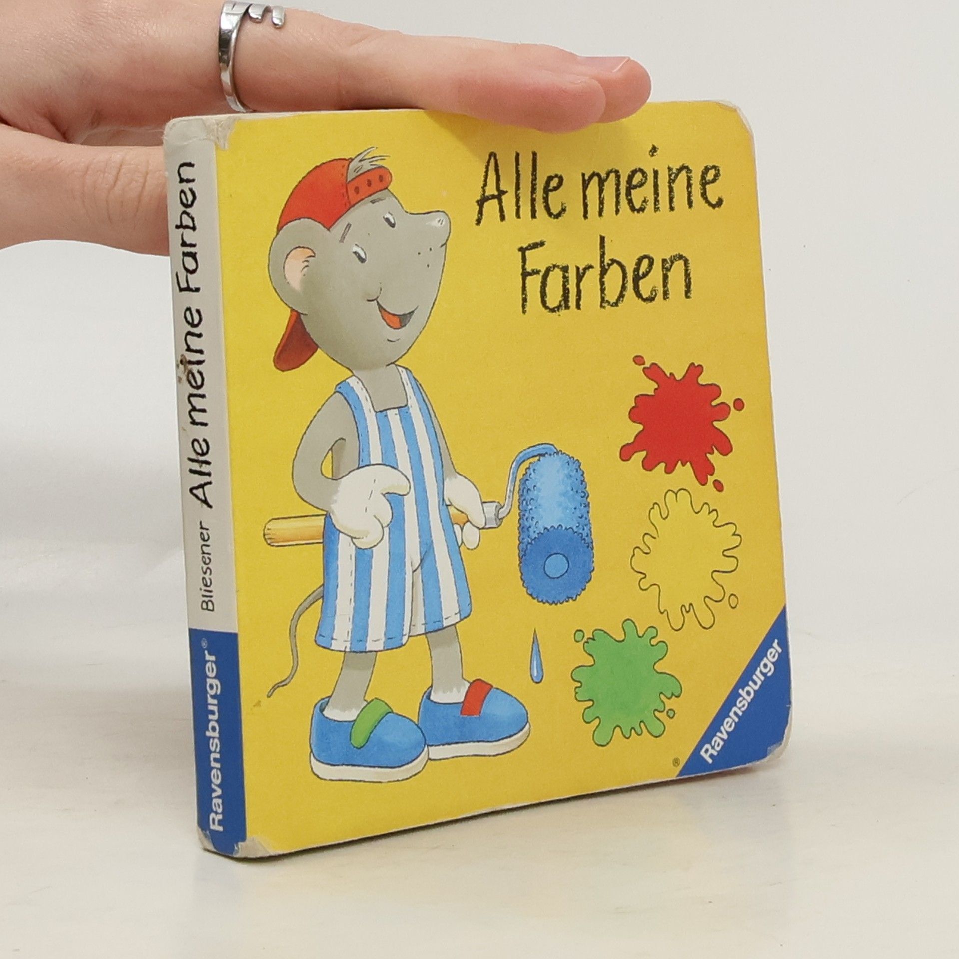 Klaus Bliesener Alle meine Farben