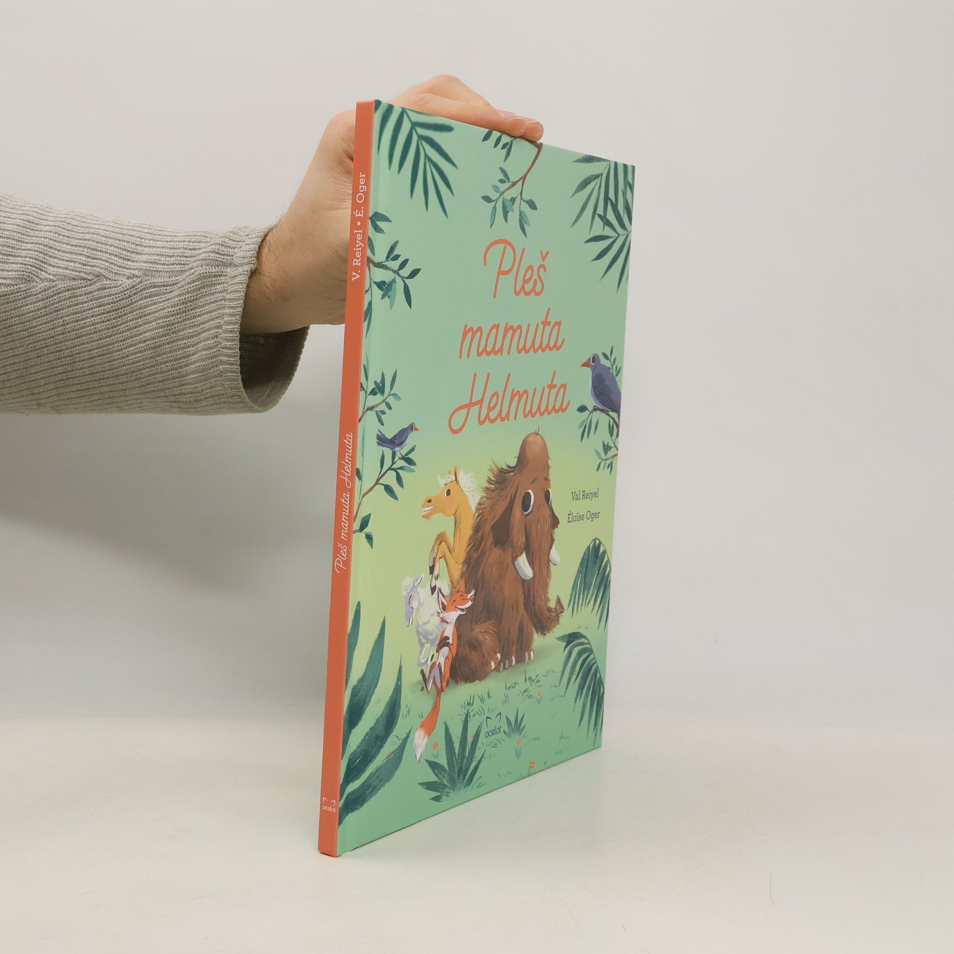 Pleš mamuta Helmuta