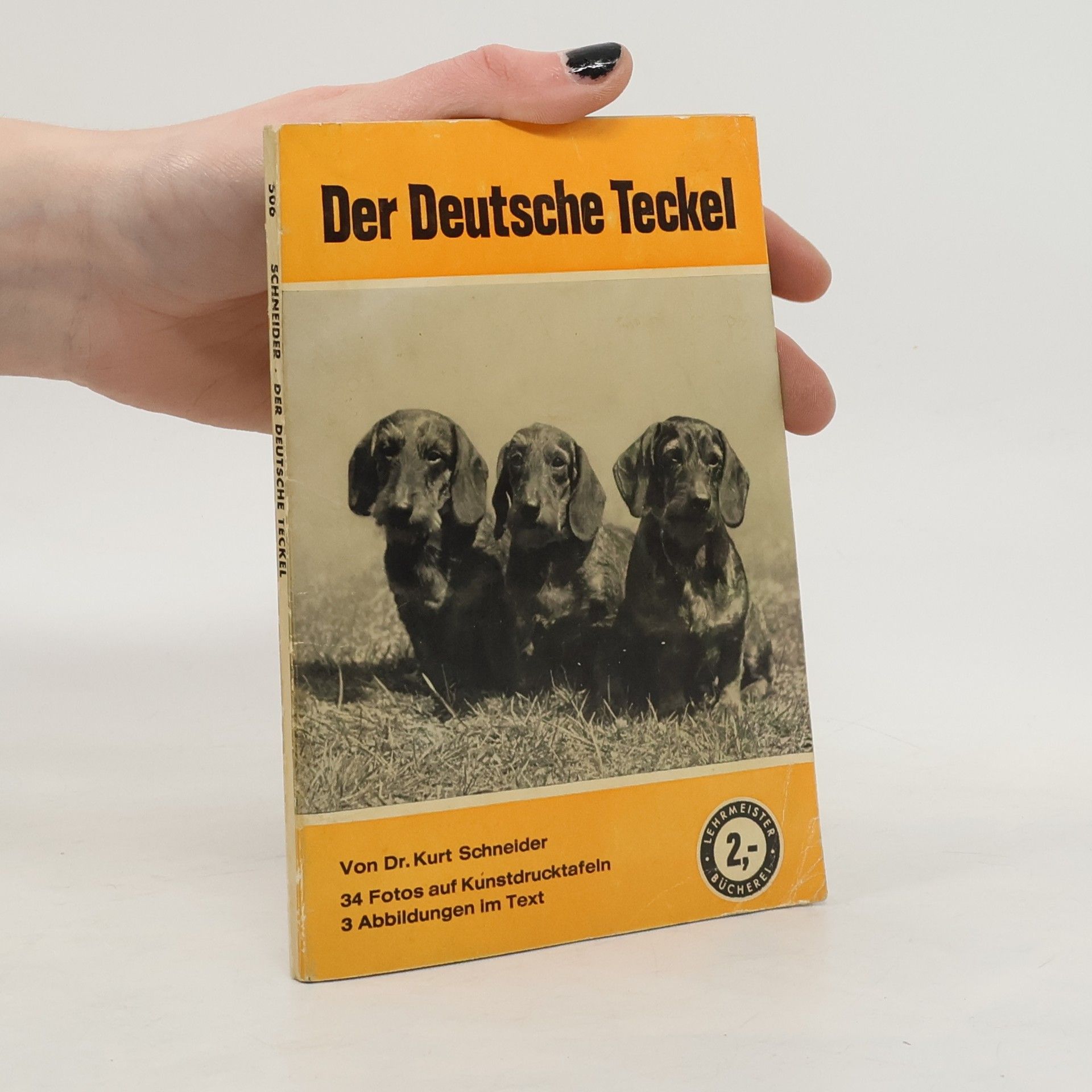 Kurt Schneider Der Deutsche Teckel