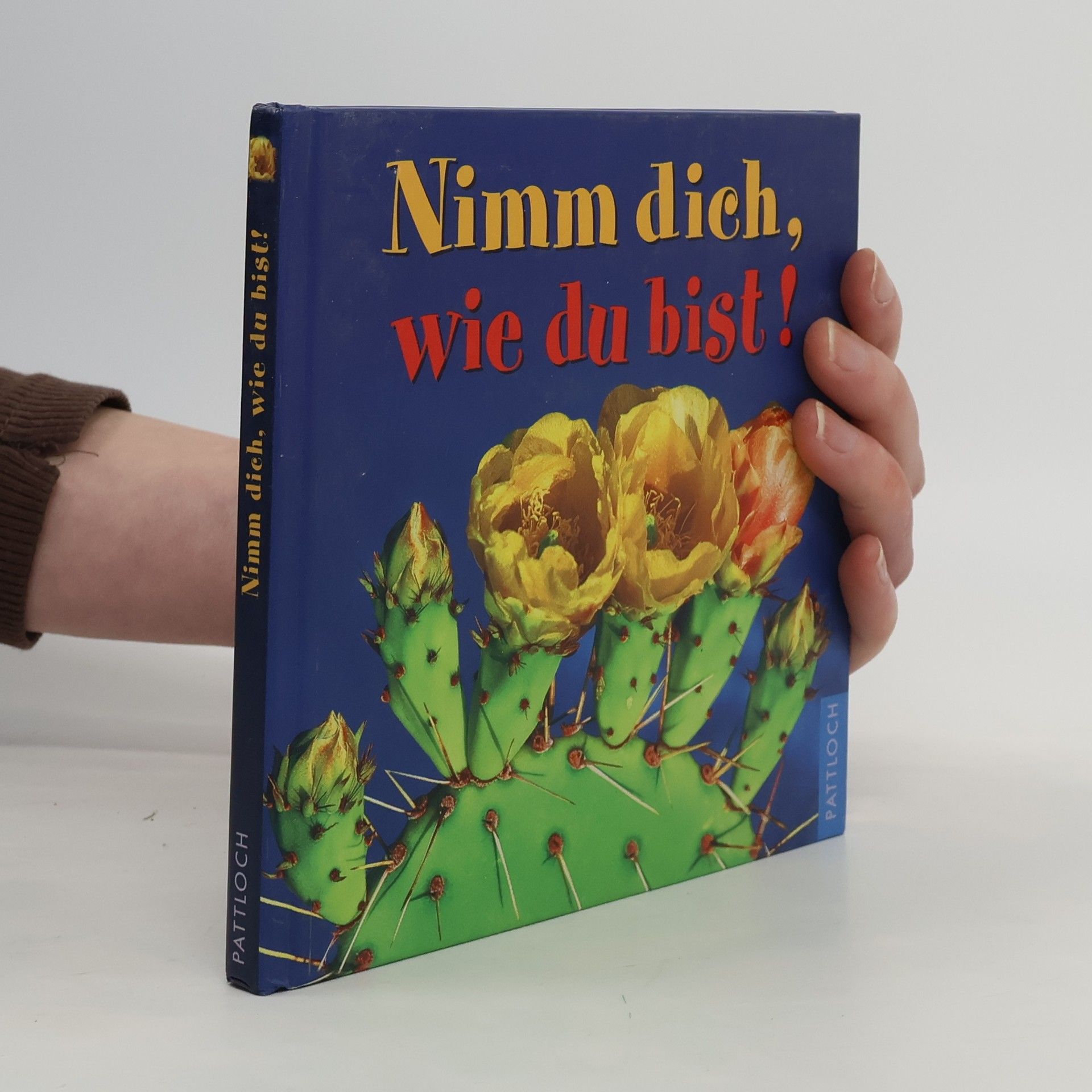 Kolektív autorov Nimm dich, wie du bist