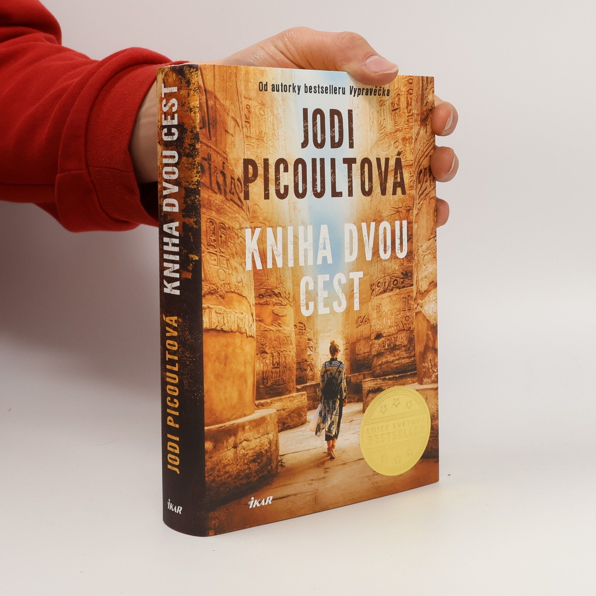 Jodi Picoult Kniha dvou cest