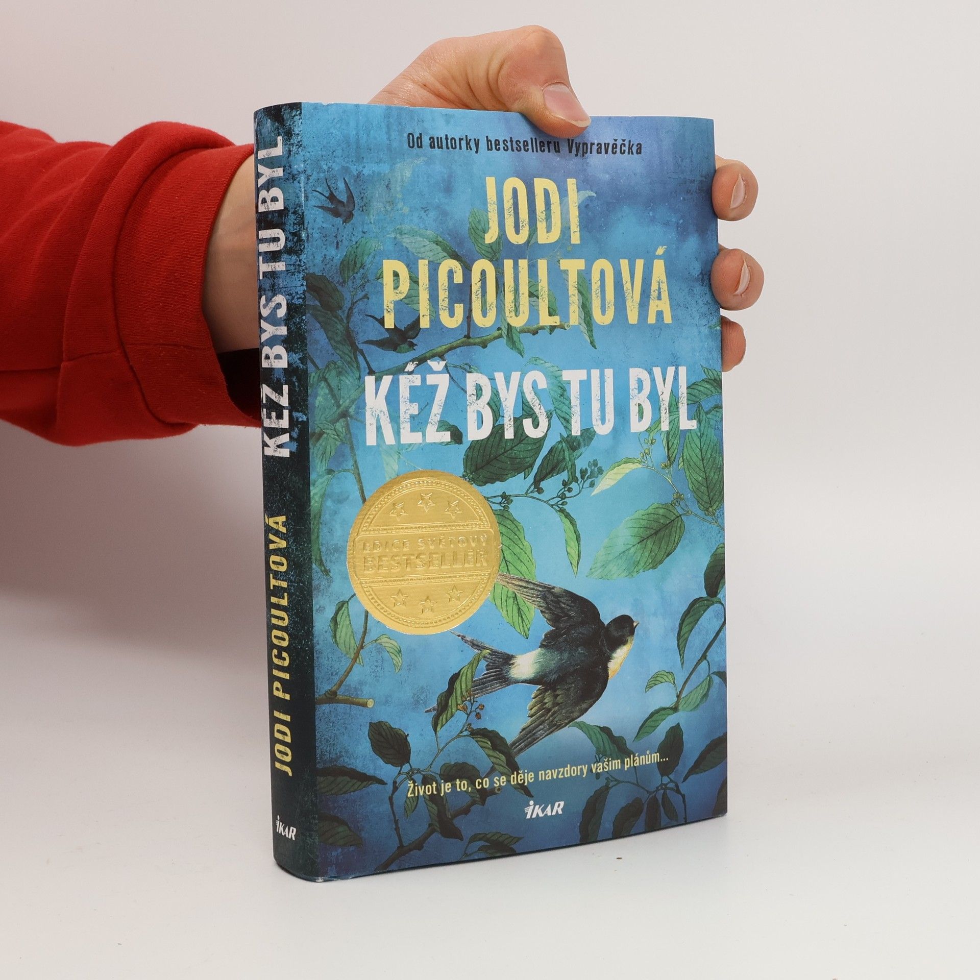 Marcela Nejedlá Kéž bys tu byl