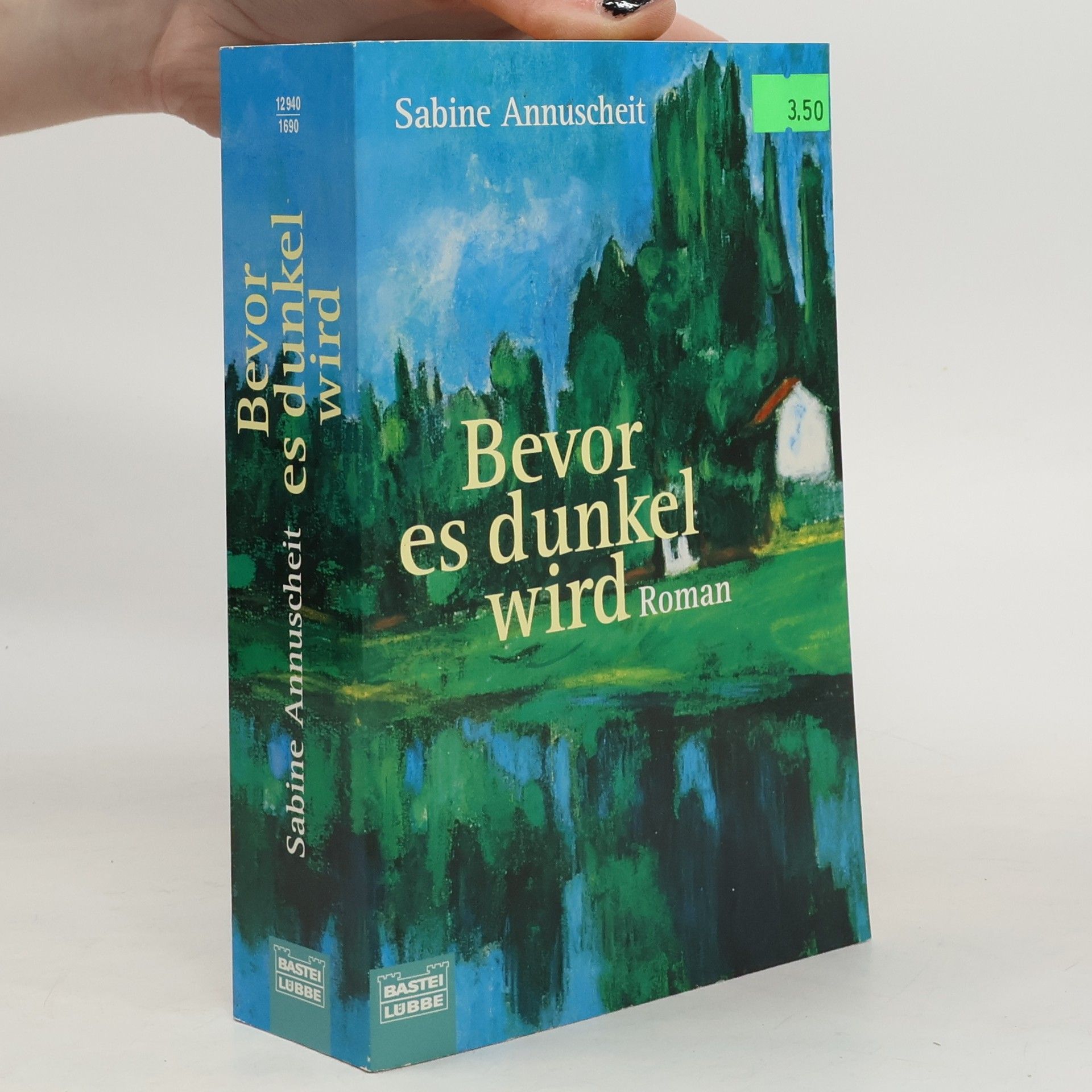 Bevor es dunkel wird