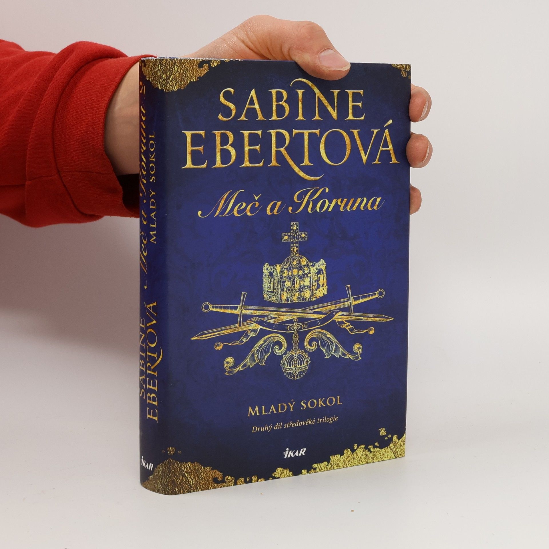 Sabine Ebert Meč a Koruna. Mladý sokol