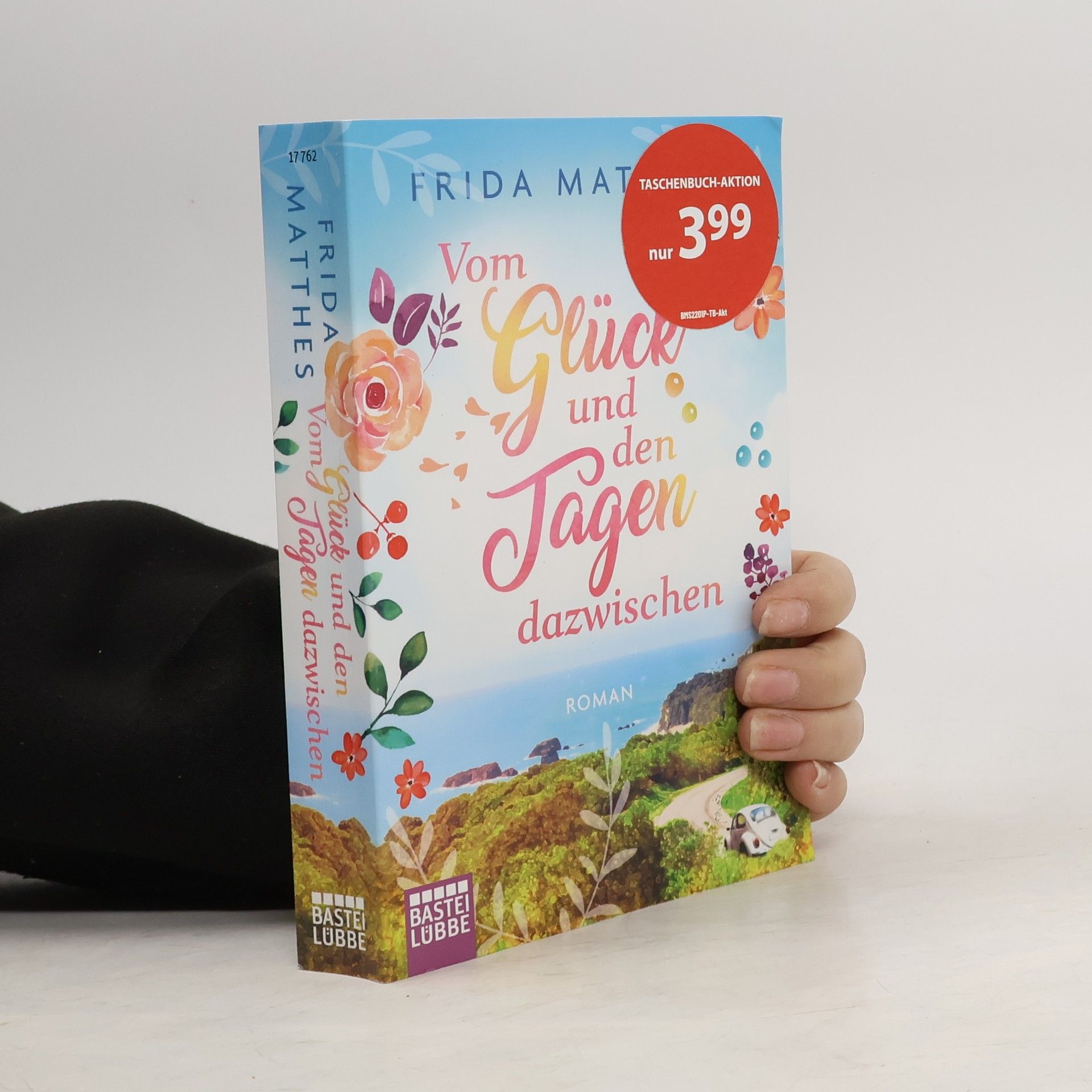 Frida Matthes Vom Glück und den Tagen dazwischen