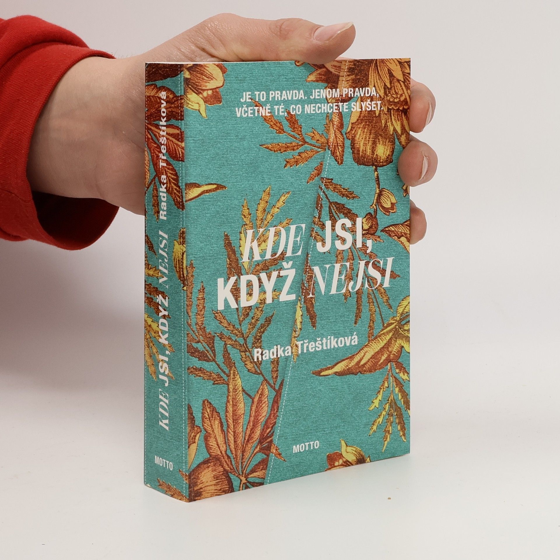 Radka Třeštíková Kde jsi, když nejsi