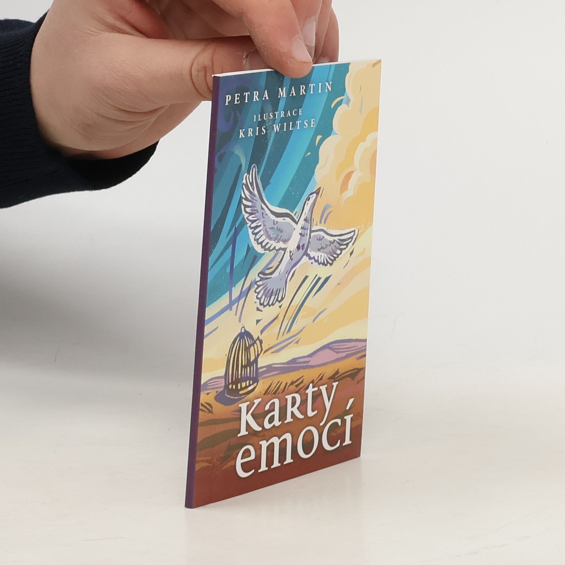 Petra Martin Karty emocí