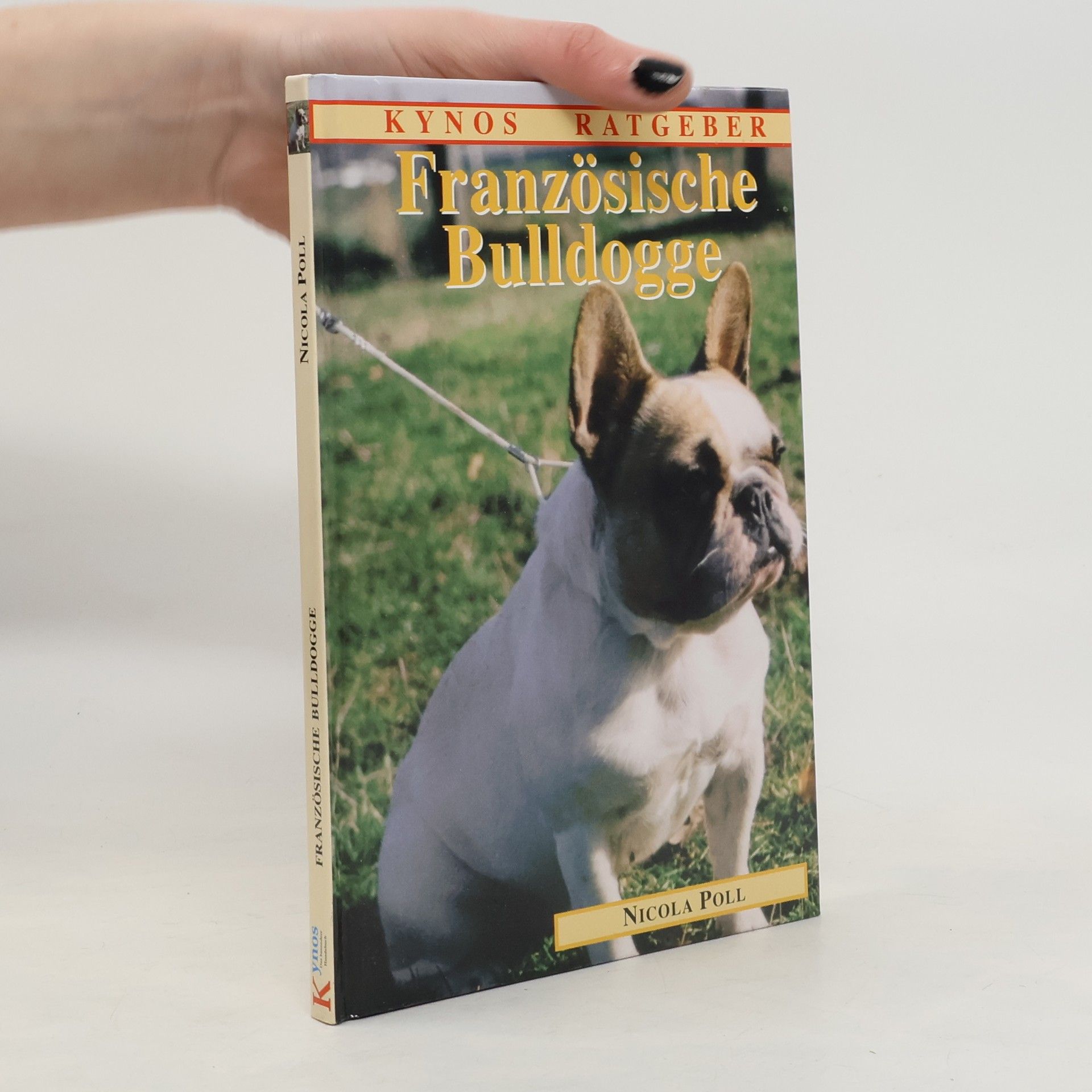 Französische Bulldogge
