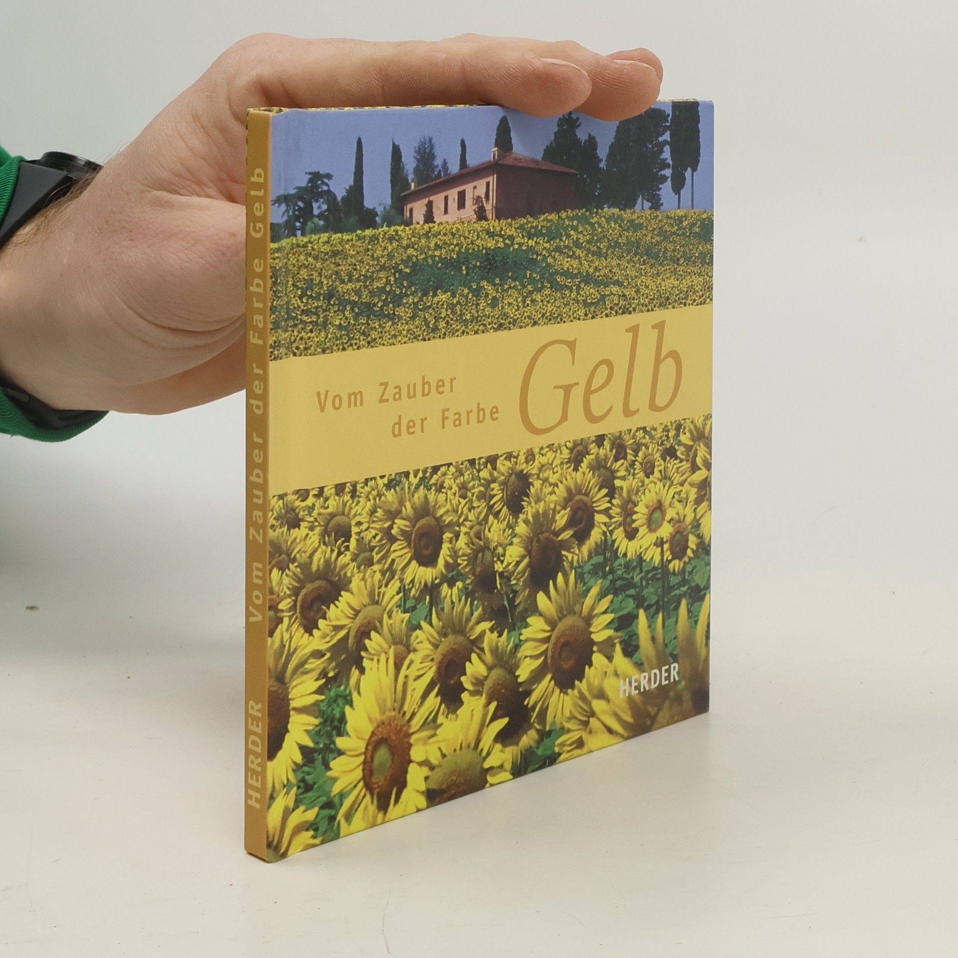 Dörte Fuchs Vom Zauber der Farbe Gelb